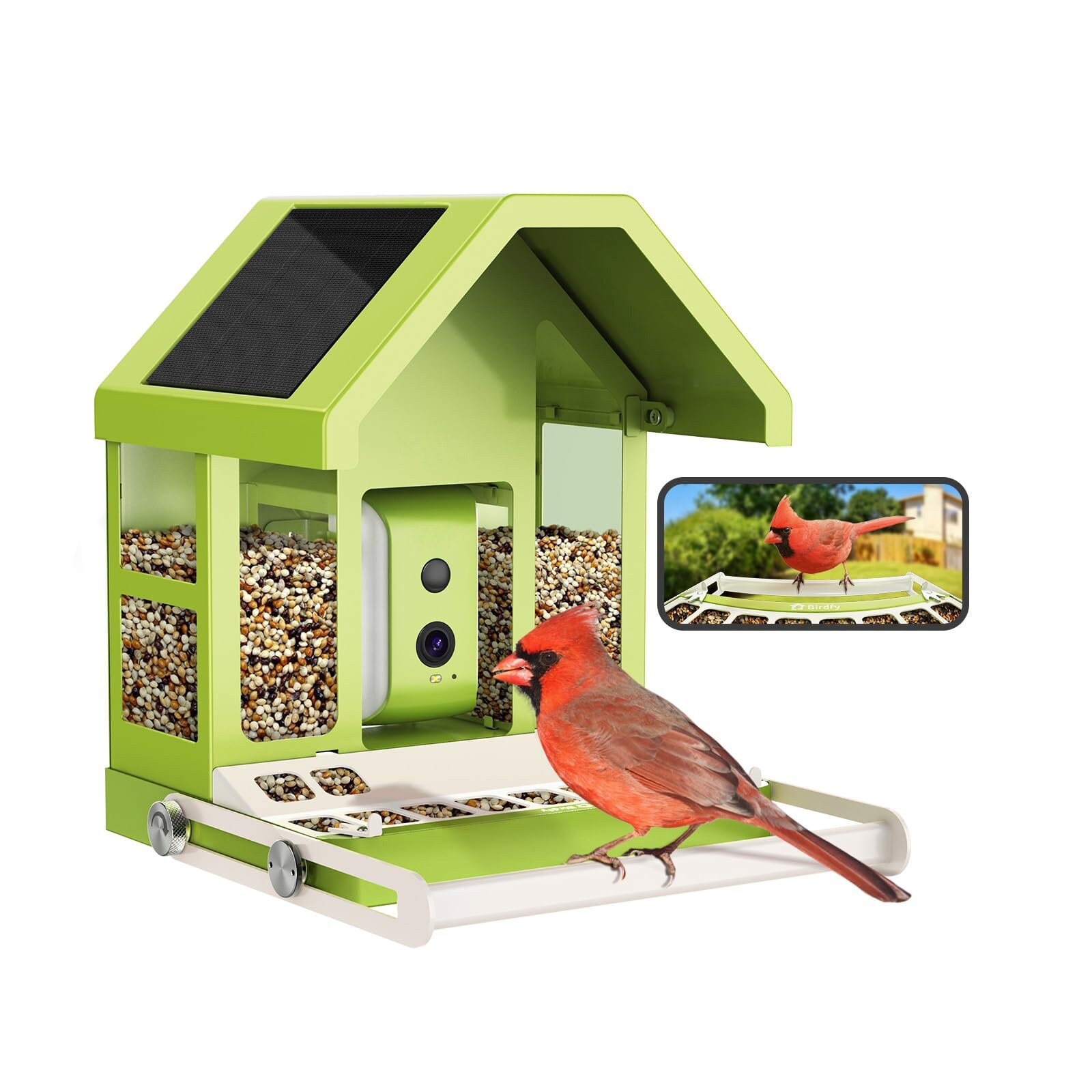 Misopily LMS1226B25 Bird-Feeders - View #10