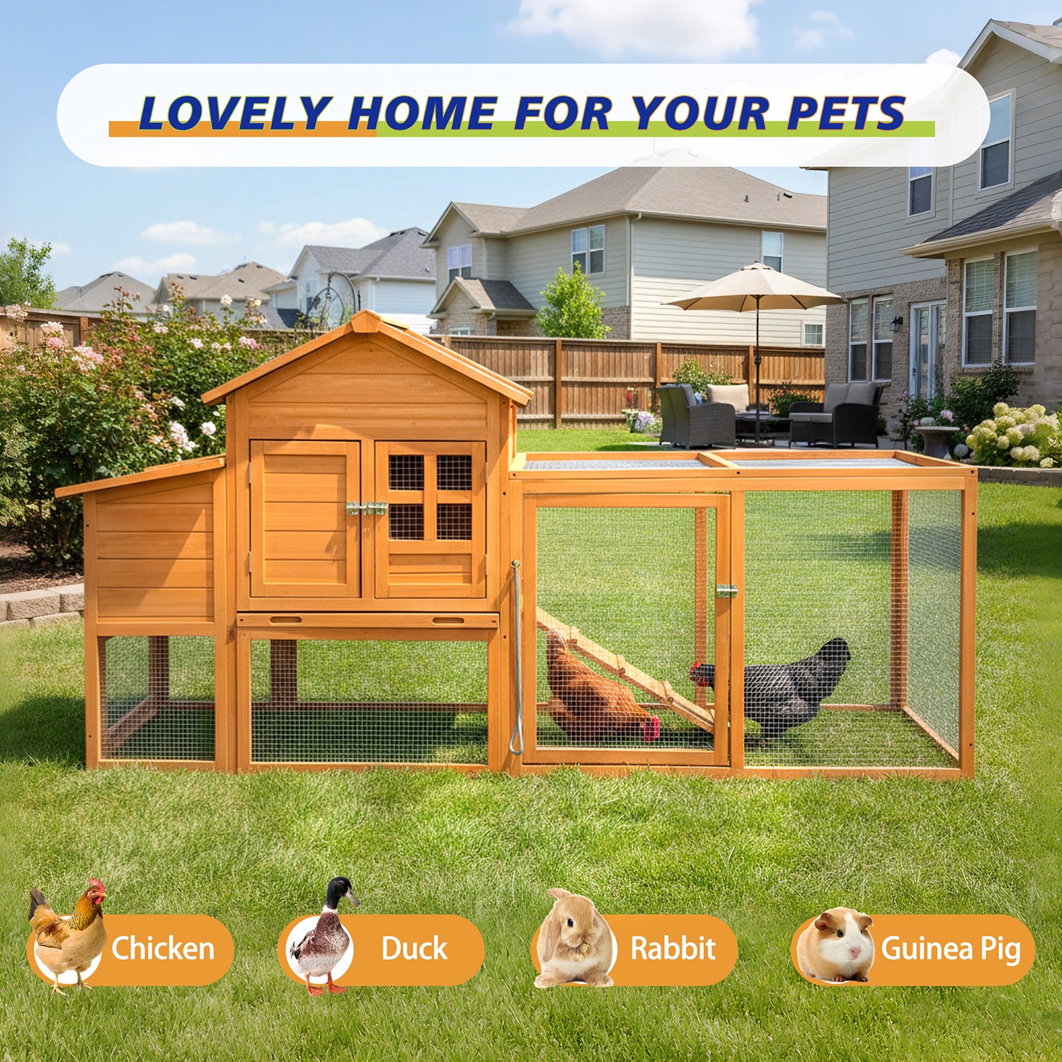 GZMR GZ-TPW02DA Chicken-Coops-Rabbit-Hutches - View #7