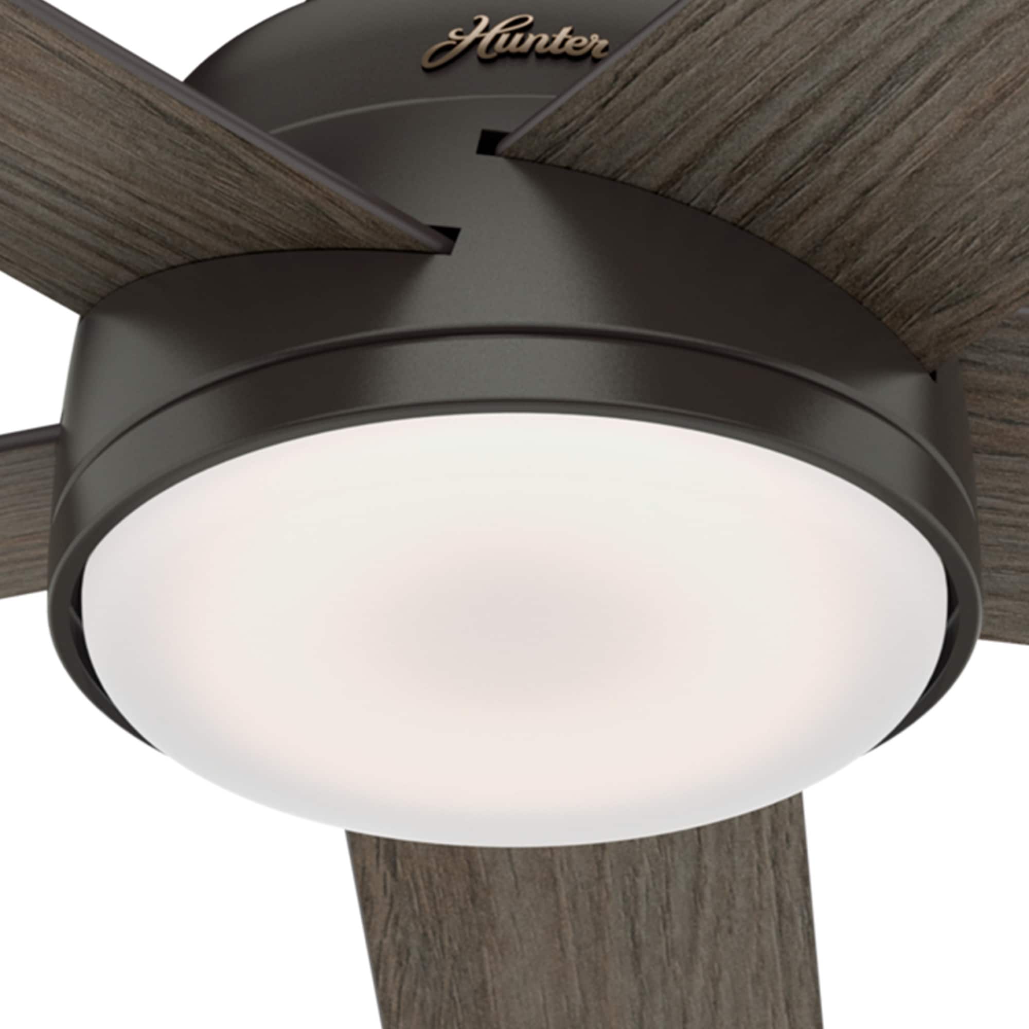 Hunter 59479 Ceiling-Fans - View #14