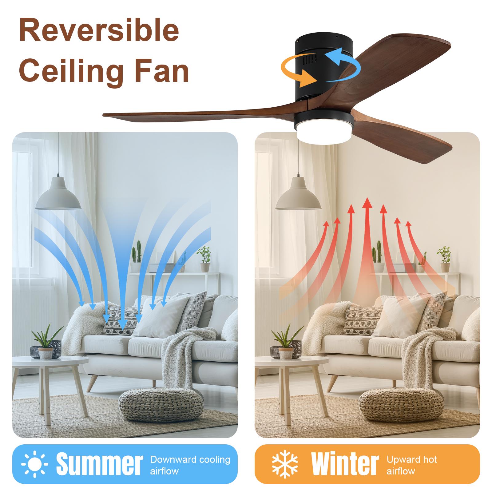 Bayfeve BF-380571-MP Ceiling-Fans - View #5