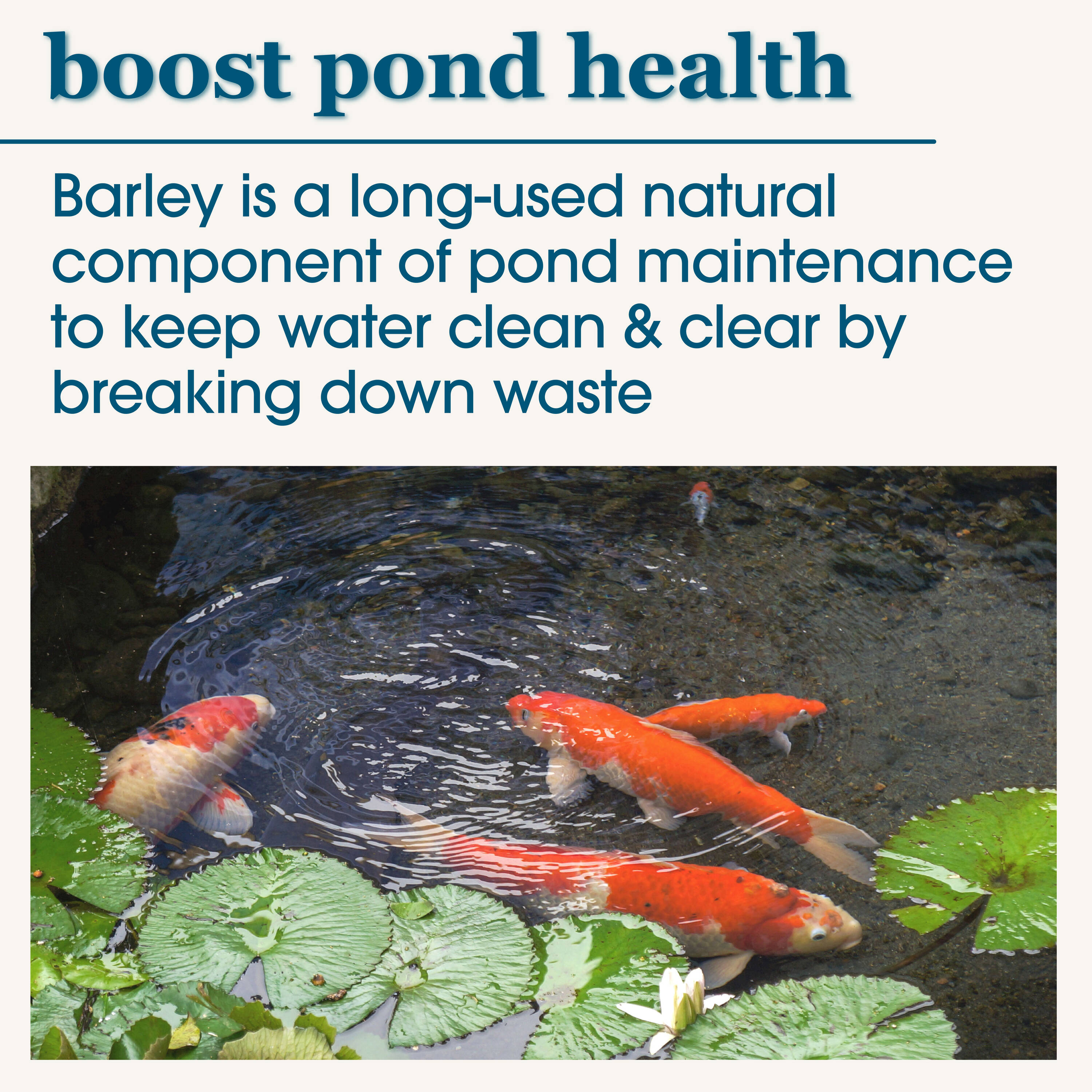 smartpond 96894 Pond-Cleaners - View #9