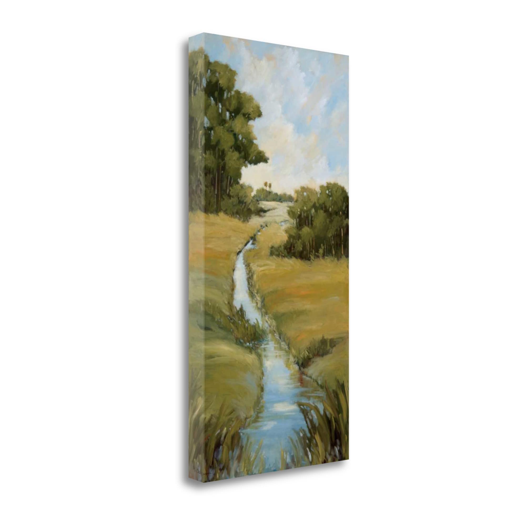 Tangletown Fine Art CA312867-1734C Mornings First Light I Maija Baynes 34-in H x 17-in W Landscape Print on Canvas