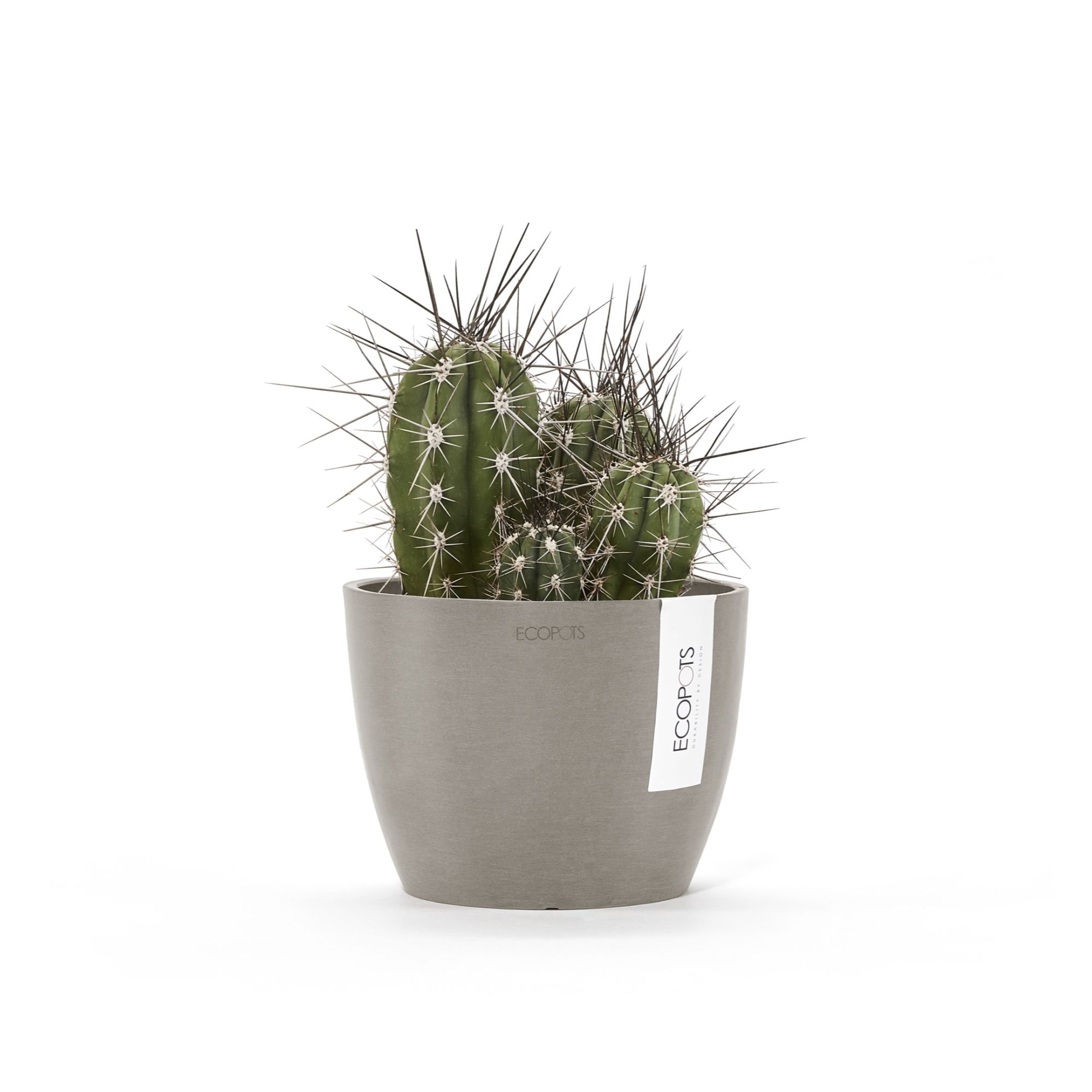 ECOPOTS 5413724307129 Planter-Window-Box - View #5