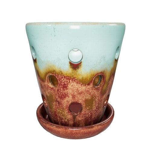 Multicolored Orchids in Round Ceramic Pot