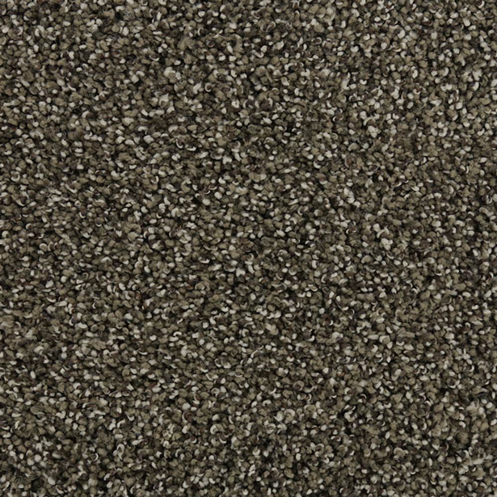 STAINMASTER - (Sample) 8-in x 8-in Tranquil Walk I Meander Brown 42-oz sq yard Triexta Textured I...