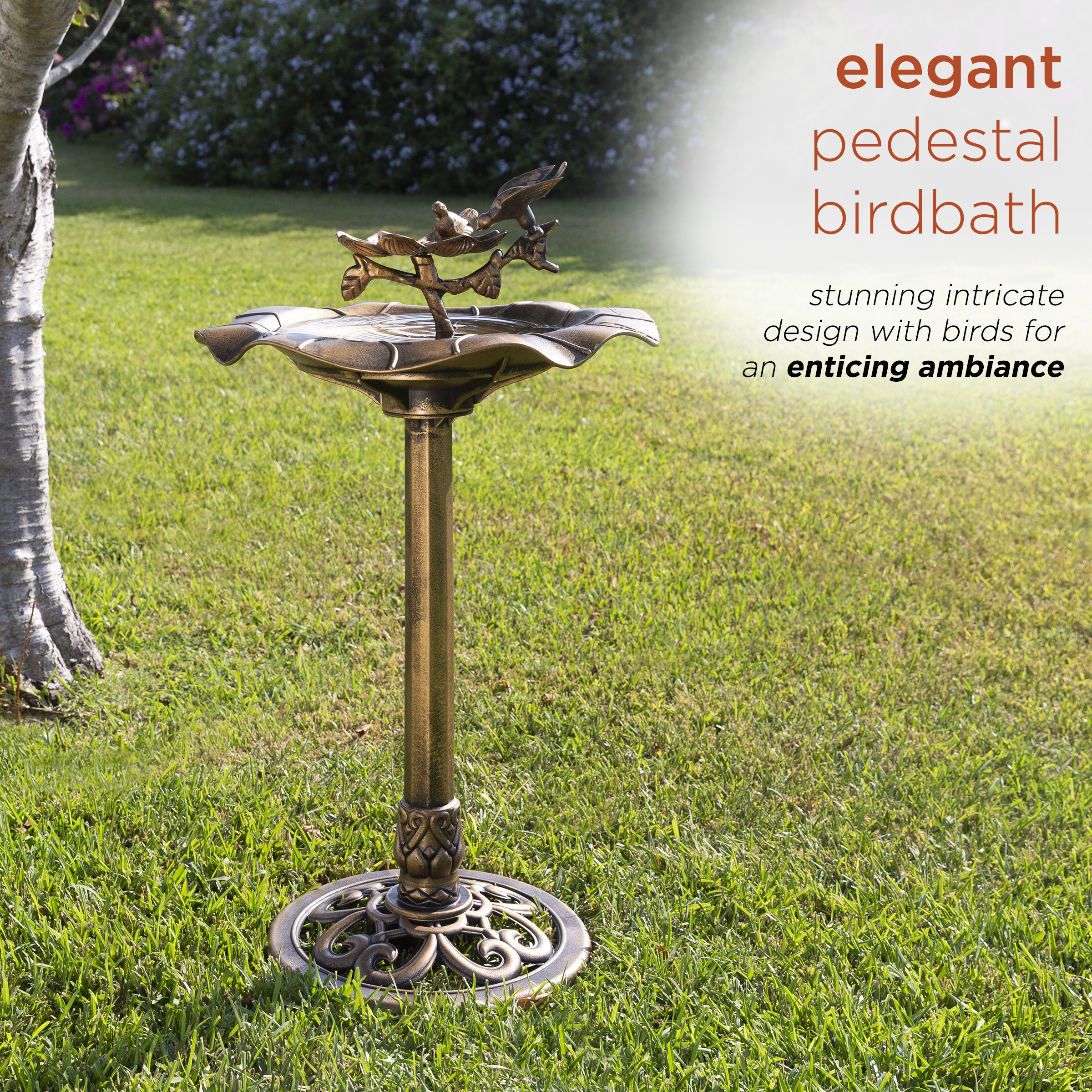 Alpine Corporation TEC380 birdbaths - View #4