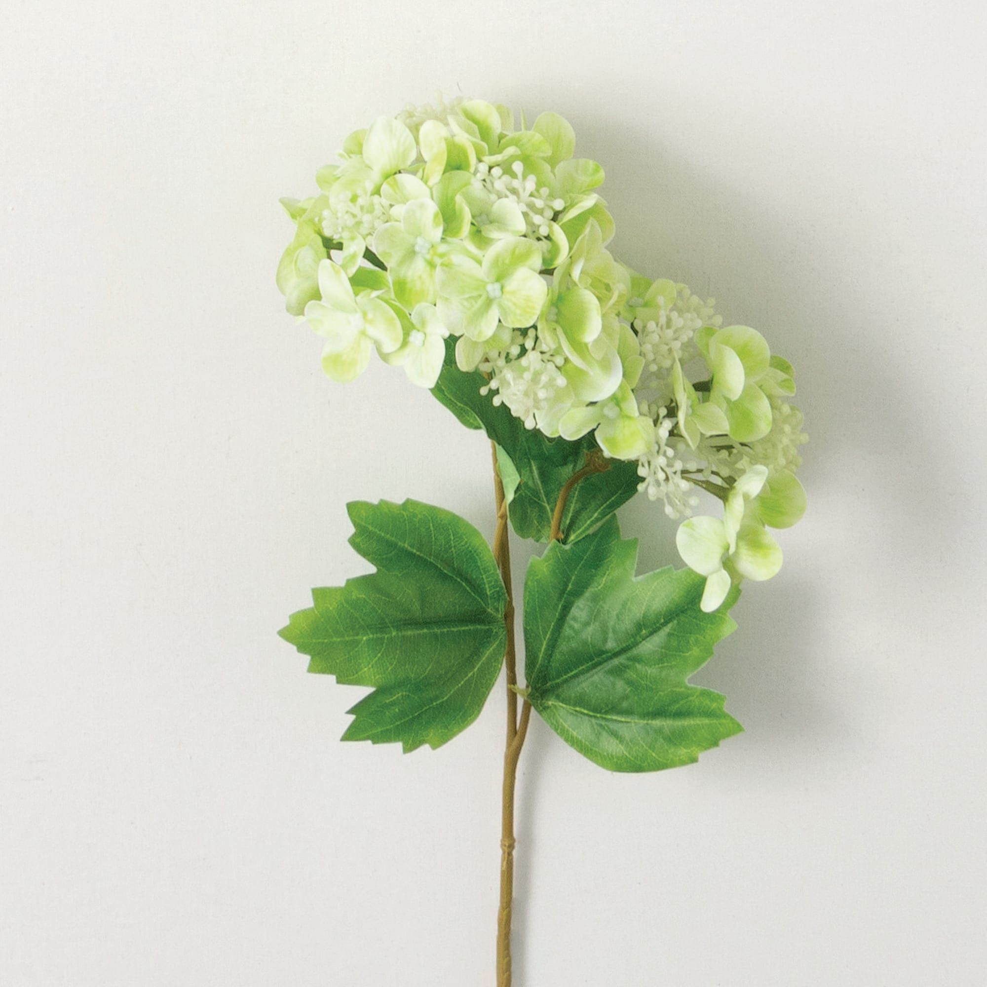 Sullivans GG996 GR 19-Inches Green Indoor Desktop Hydrangea Artificial flower