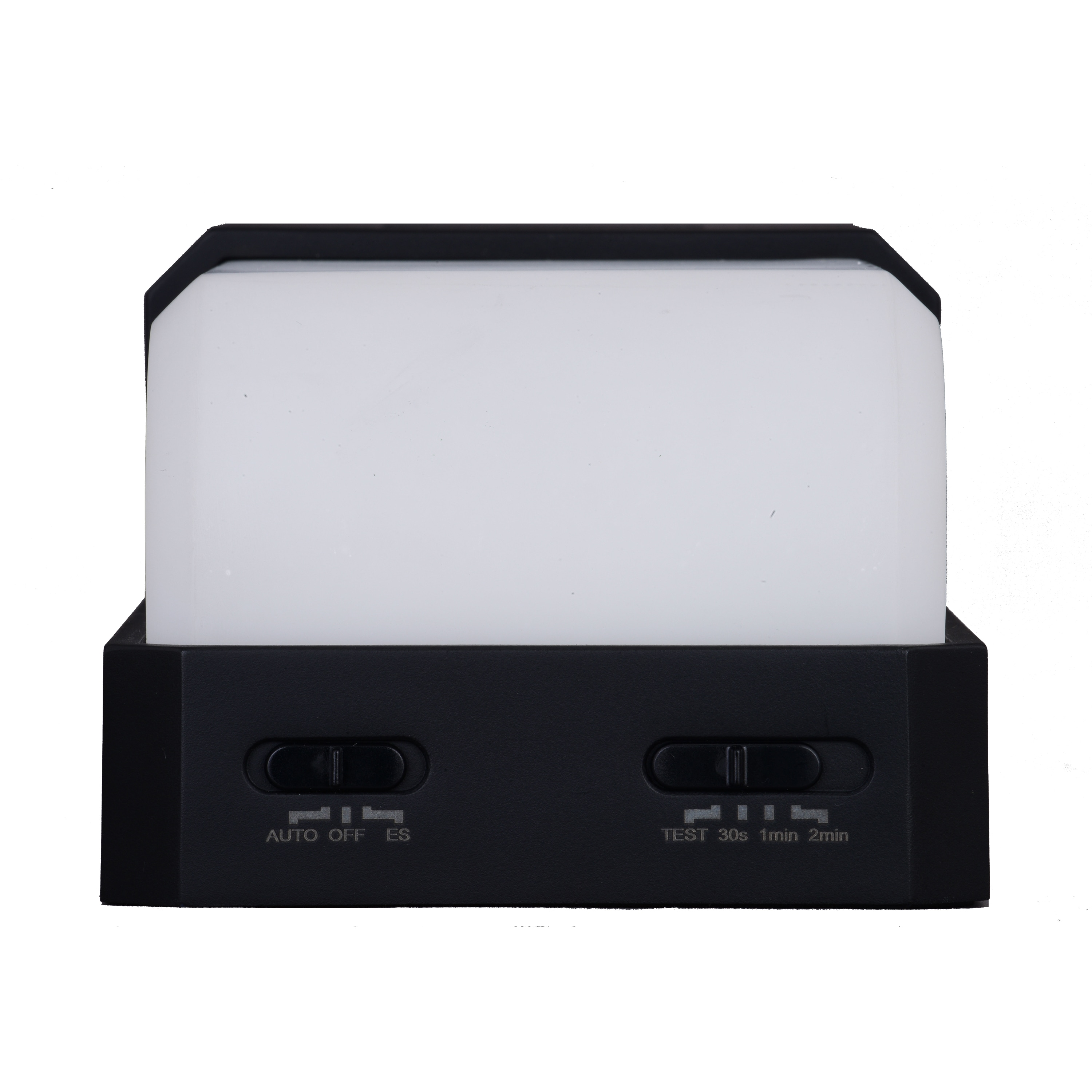 Black Solar LED Outdoor Wall Light with Motion Sensor and Frosted Shade
