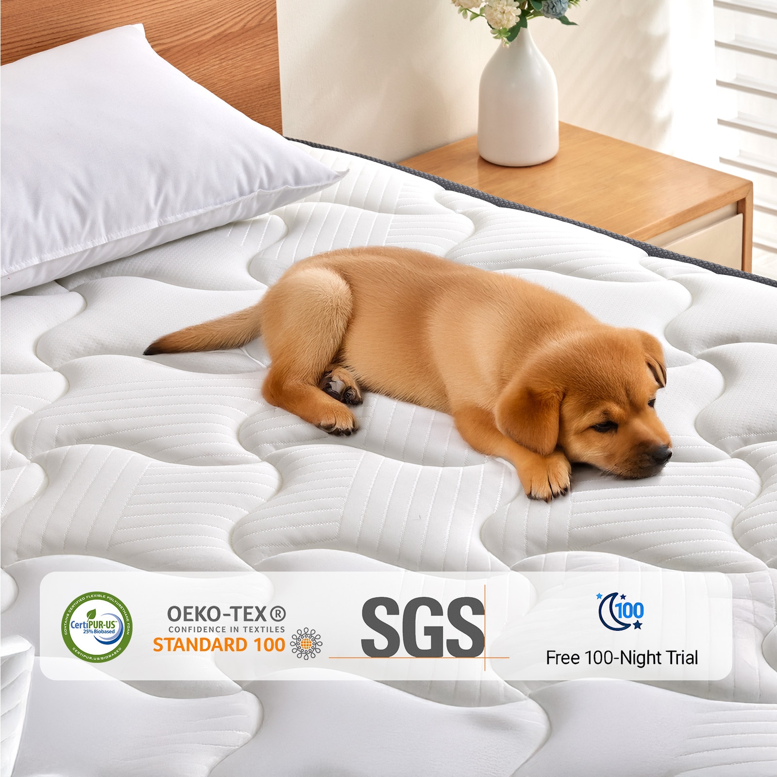 Ifluous LSMH10-10Q Mattresses-Boxsprings - View #7