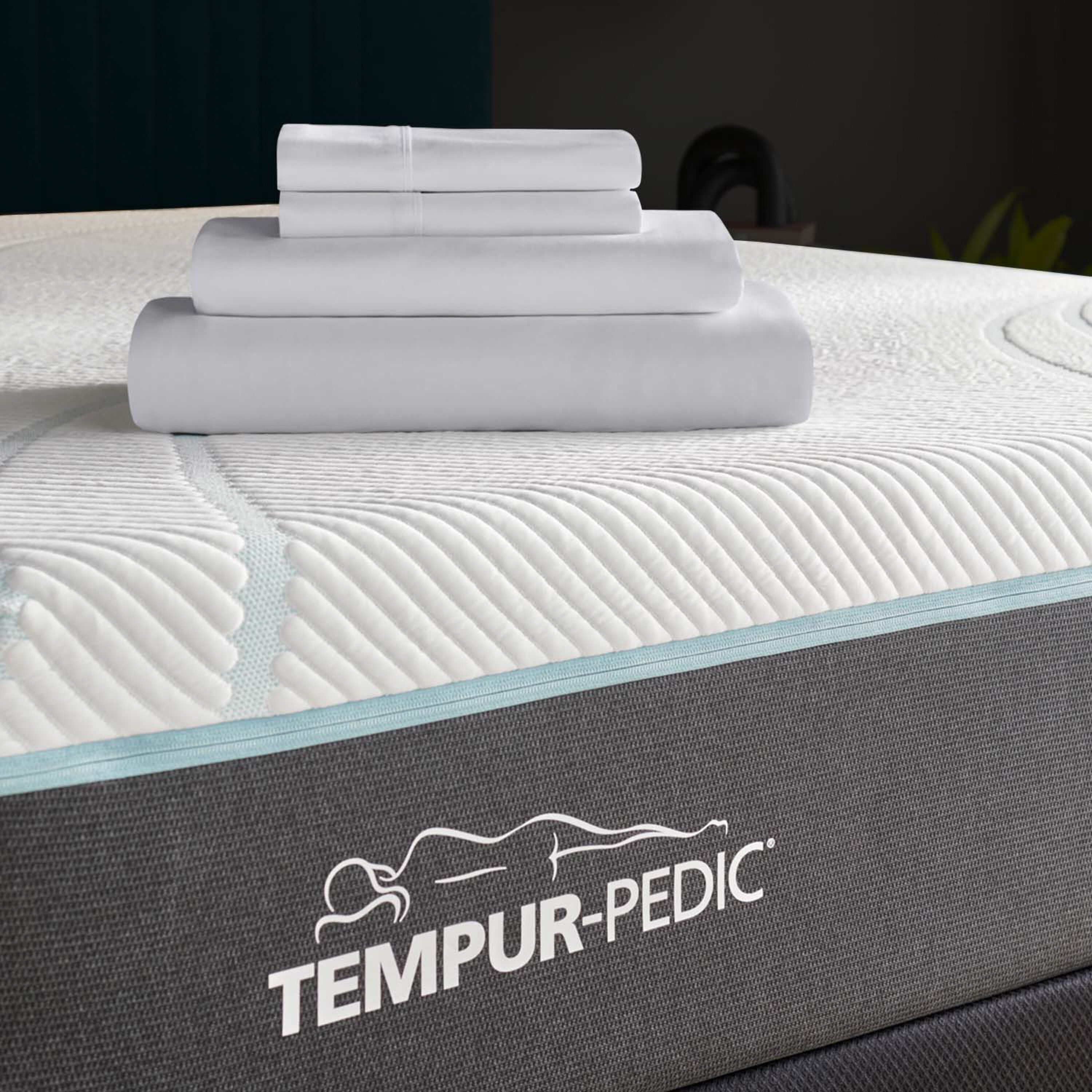 TEMPUR-PEDIC Twin Extra Long 400-Thread-Count Egyptian Cotton Silver ...