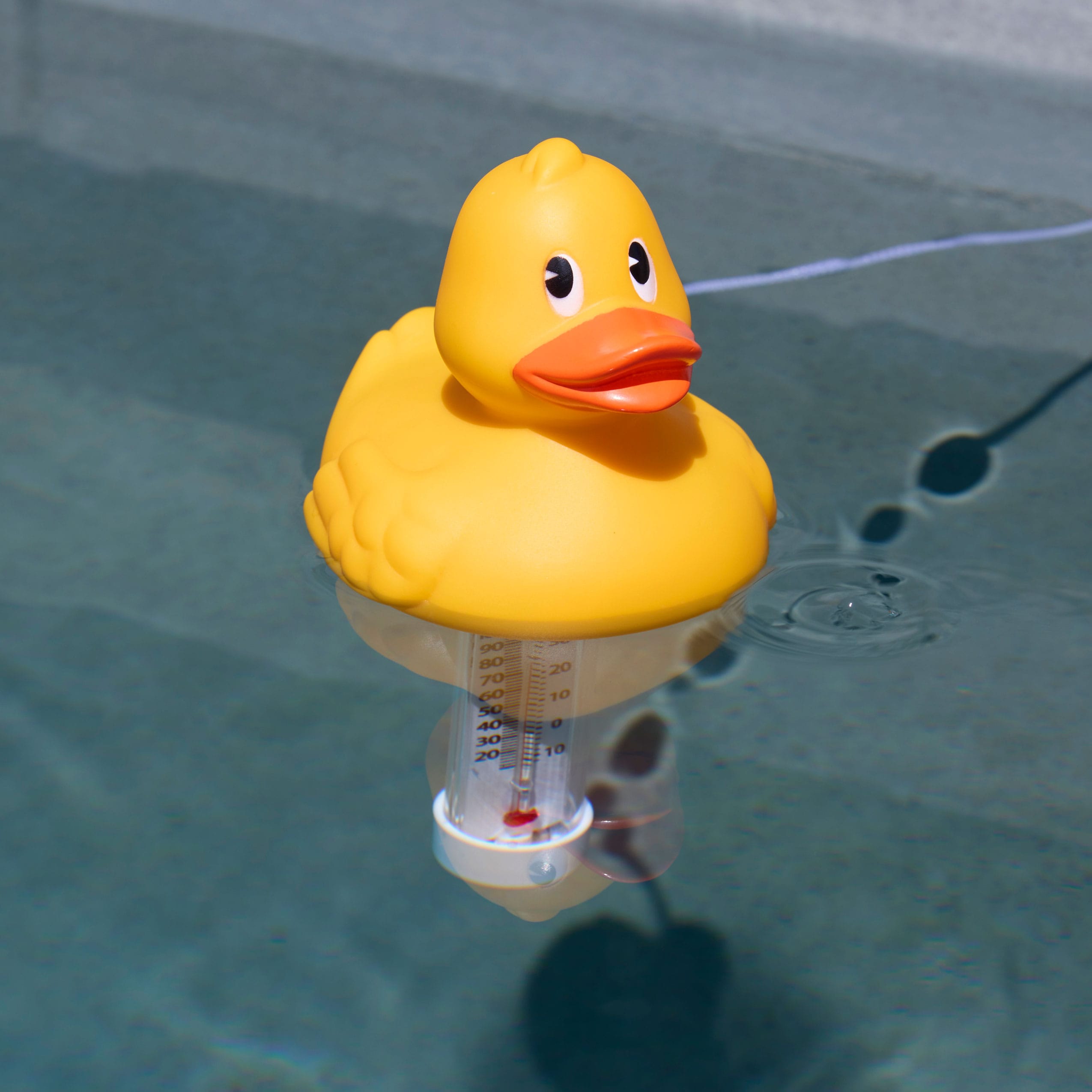 Project Source TF225MIX-PS Pool-Thermometers - View #2