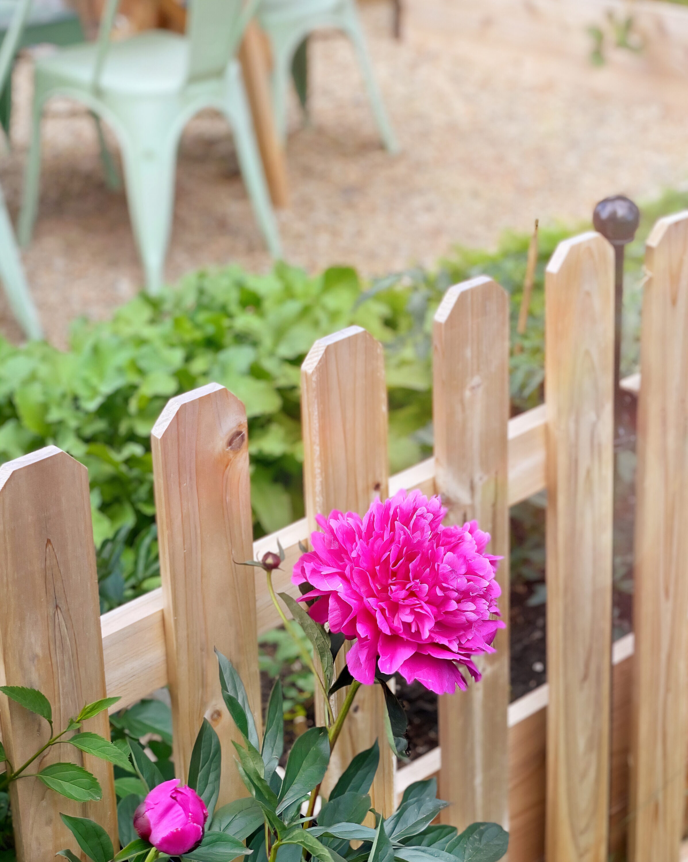 YARDLINK 820415S Wood-Fence-Panels - View #5