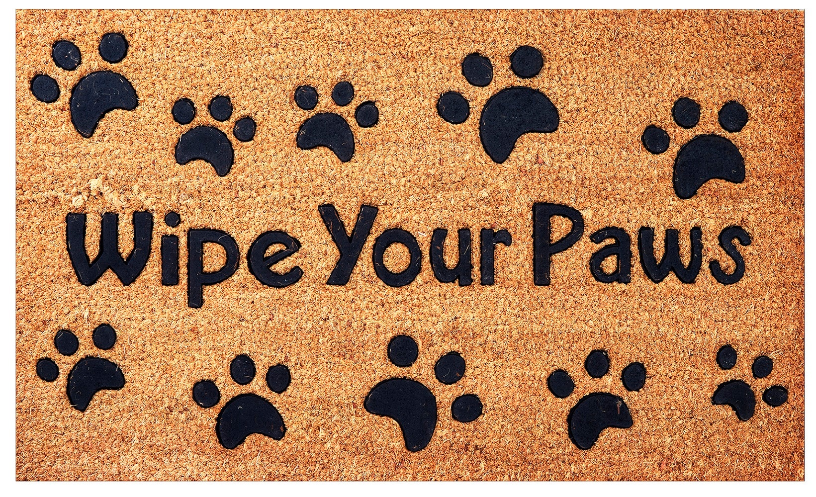Envelor 2-ft x 3-ft Wipe Your Paws Embossed Coir Rectangular Outdoor ...