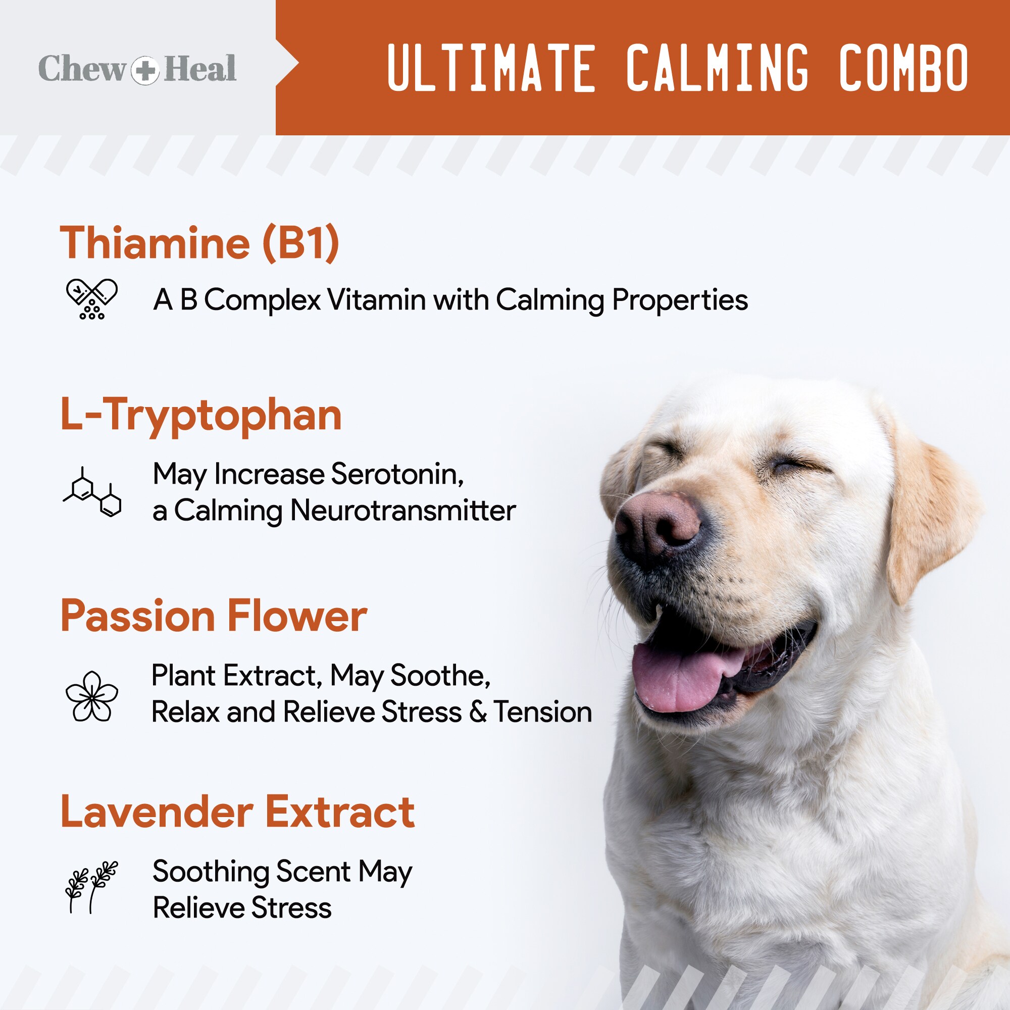 Chew + Heal CH-ANXIETY-STRESS-60 Pet-Vitamins-Suppliments - View #2