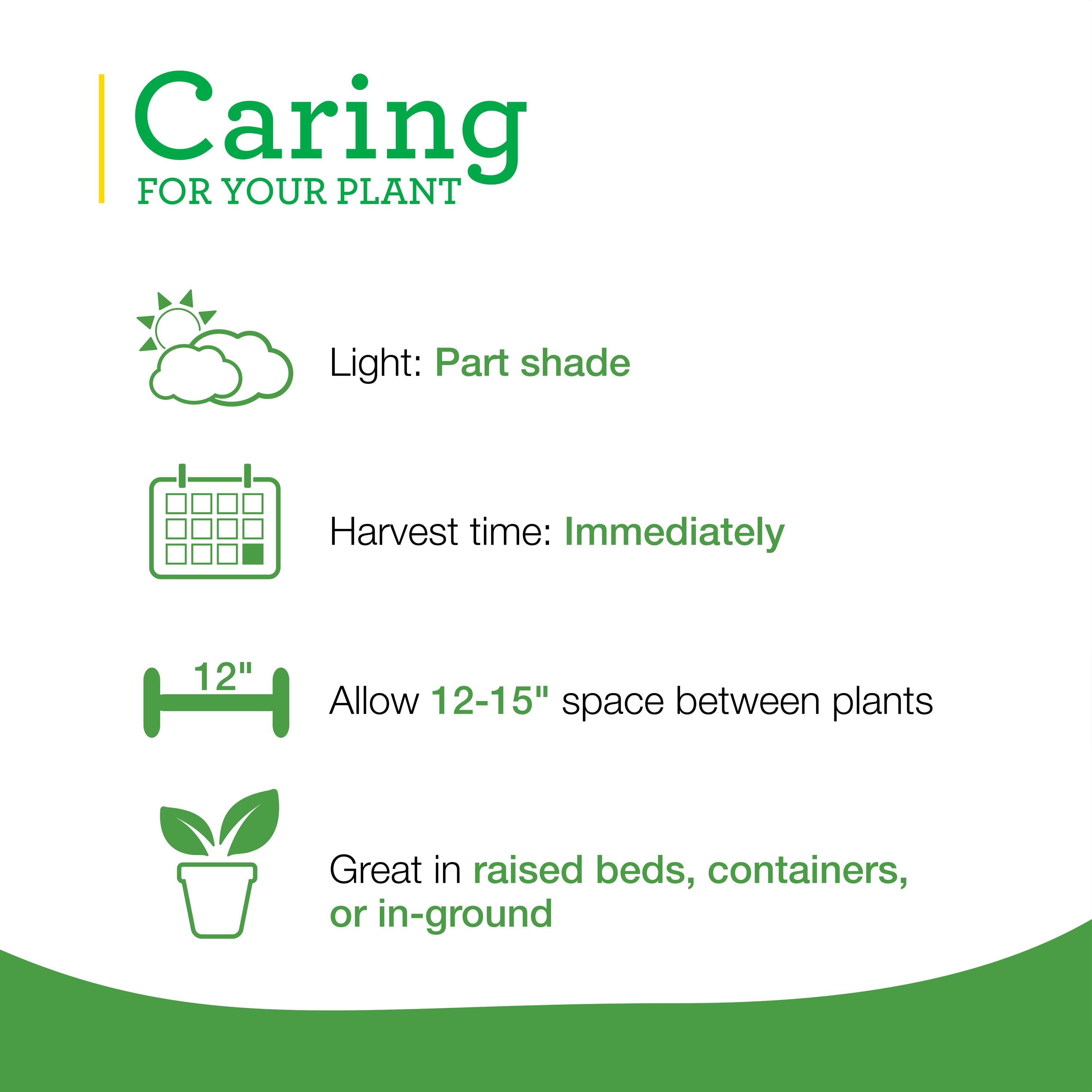 Bonnie Plants 202014 Herb-Plants - View #5
