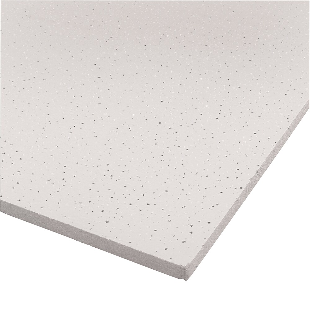 Prime-Line Tile Ceilings at Lowes.com