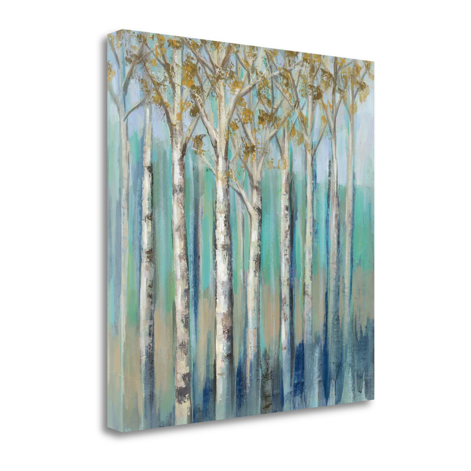 Tangletown Fine Art WA617591-2020C 20-in H x 20-in W Botanical Print on Canvas