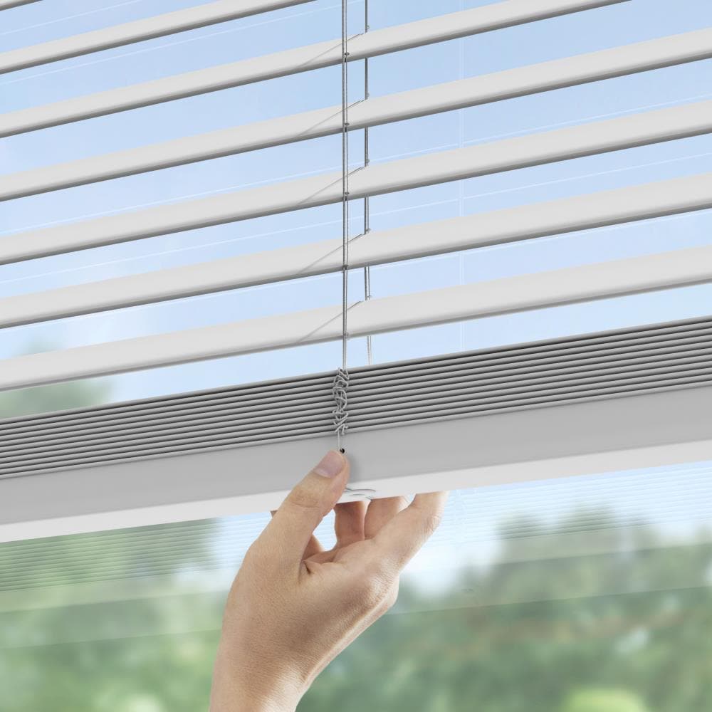LEVOLOR 929649-62X64 blinds - View #4
