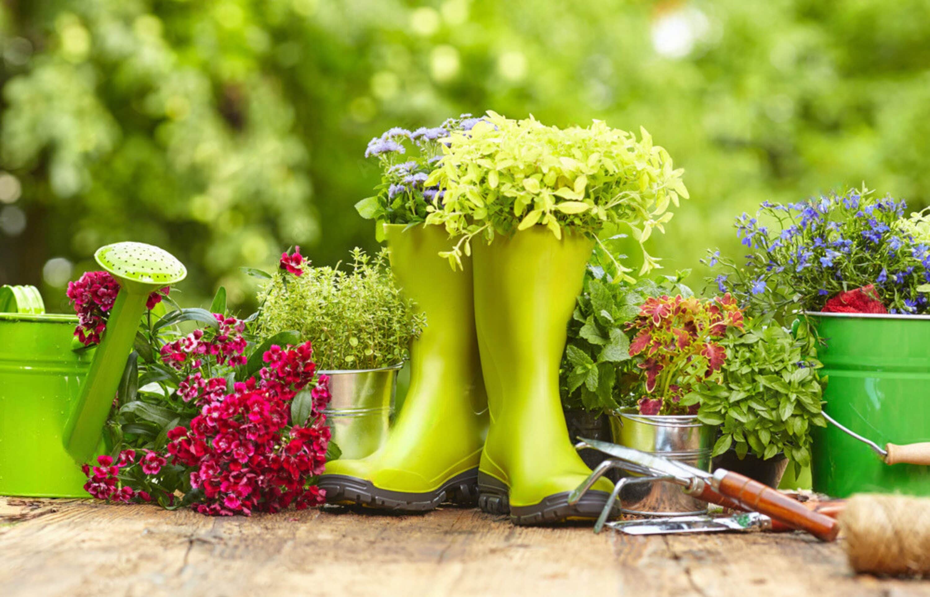 Spring Gardener IS 82011 Potting-Benches - View #4