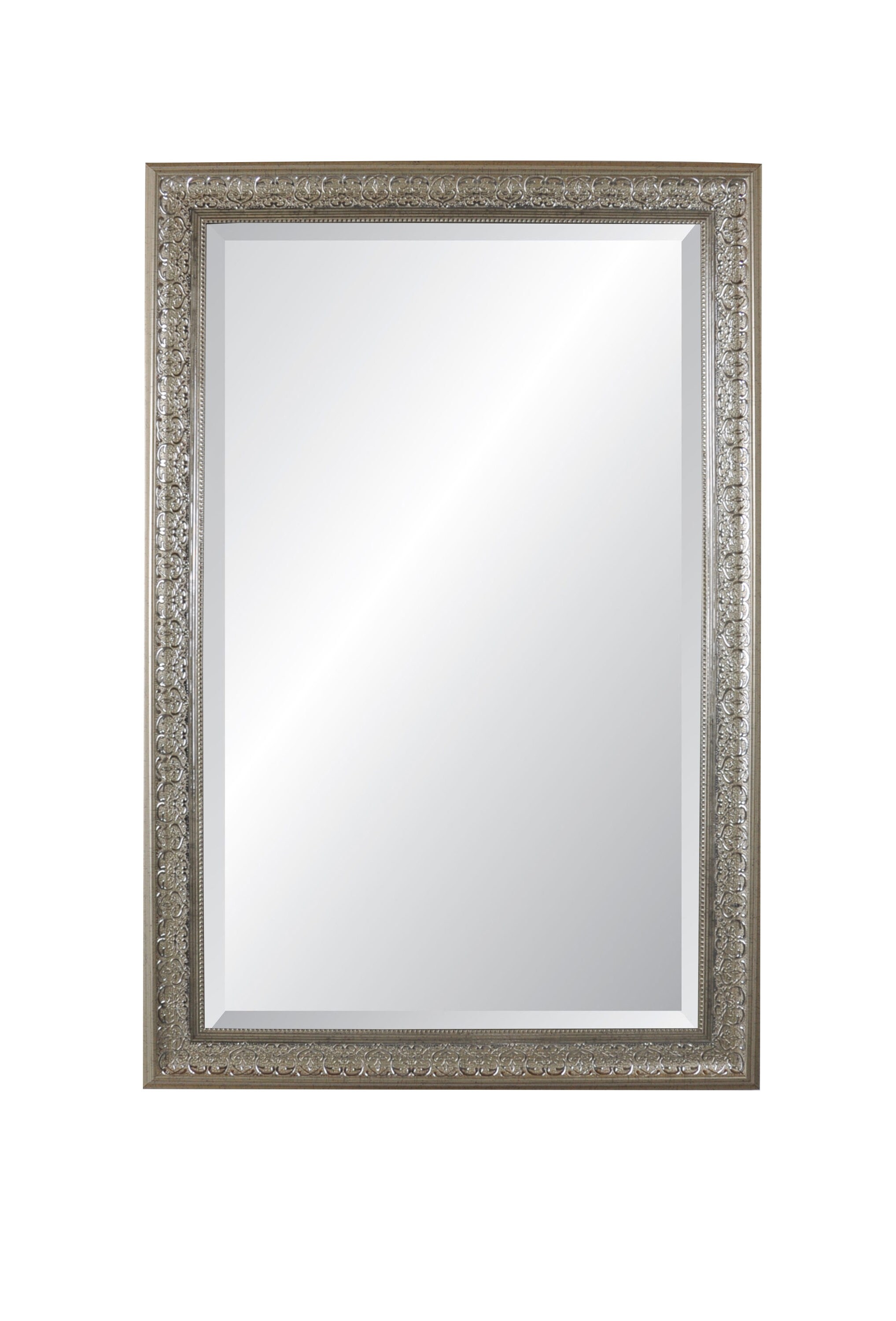 Alpine Art & Mirror 24-in W x 36-in H Champagne Silver/Gold Beveled ...