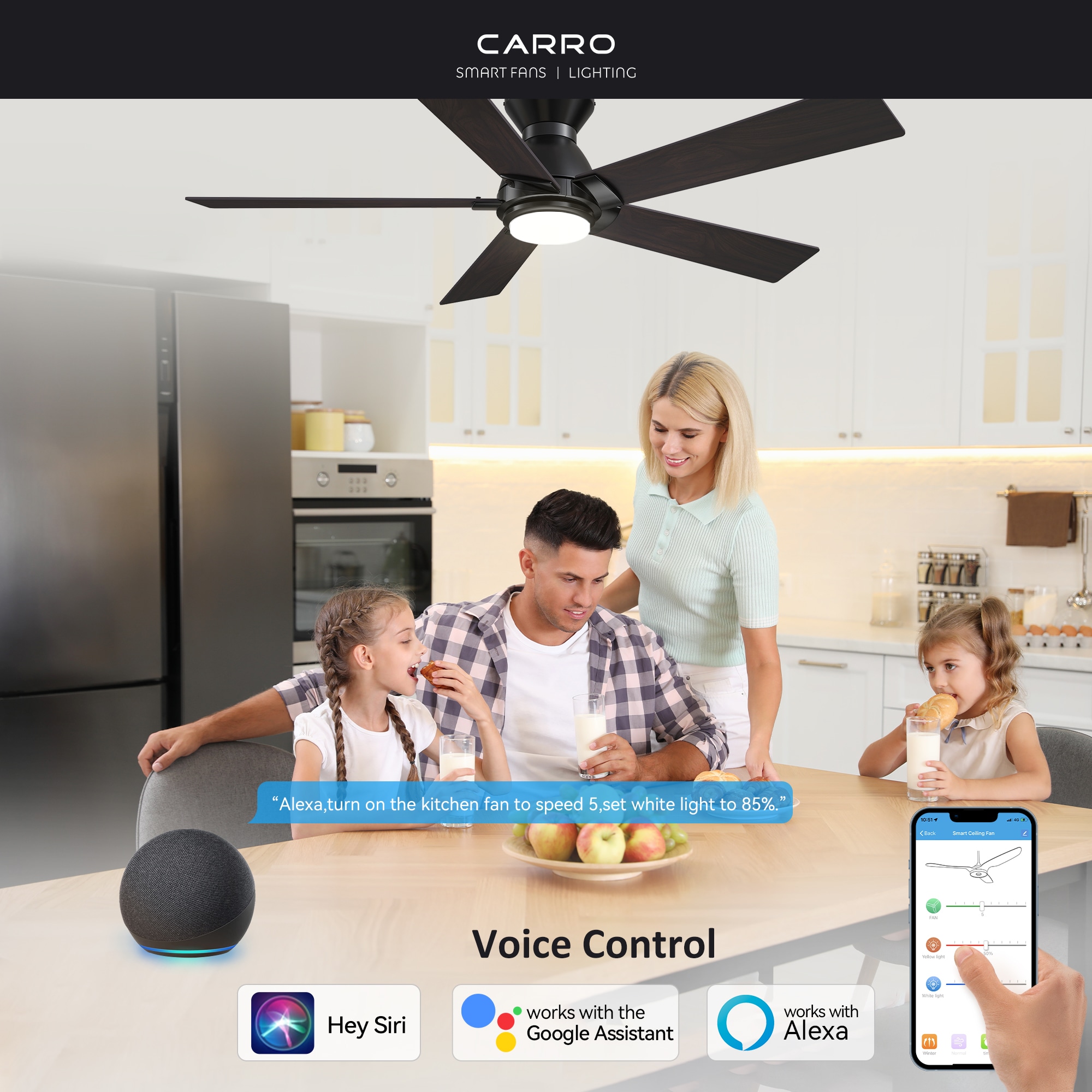CARRO USA LS485J1-L11-BG-1-FM Ceiling-Fans - View #2