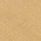 Champagne Bronze