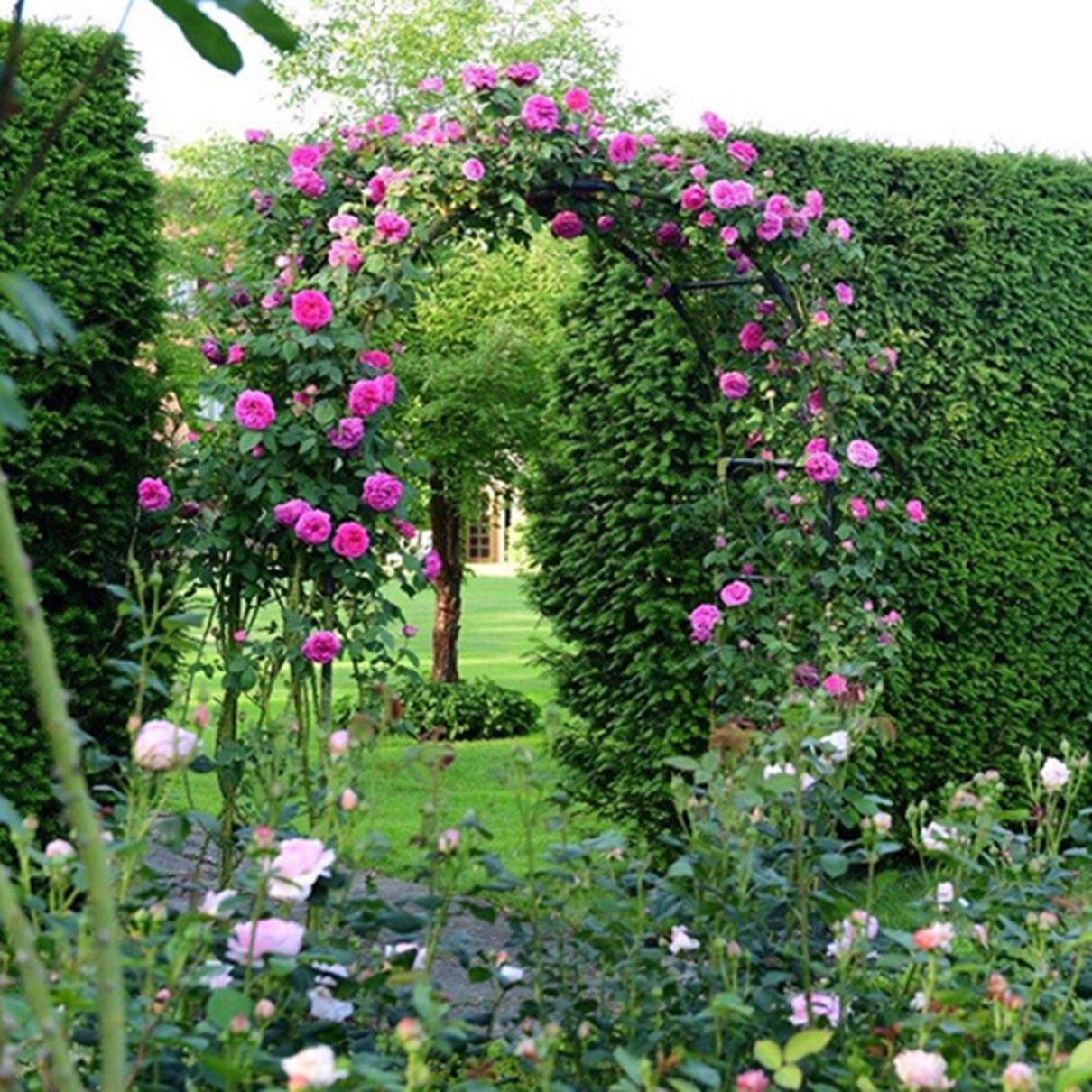 AHIOU HOME ZAAHD-H2THH7GA Garden-Arbor - View #4