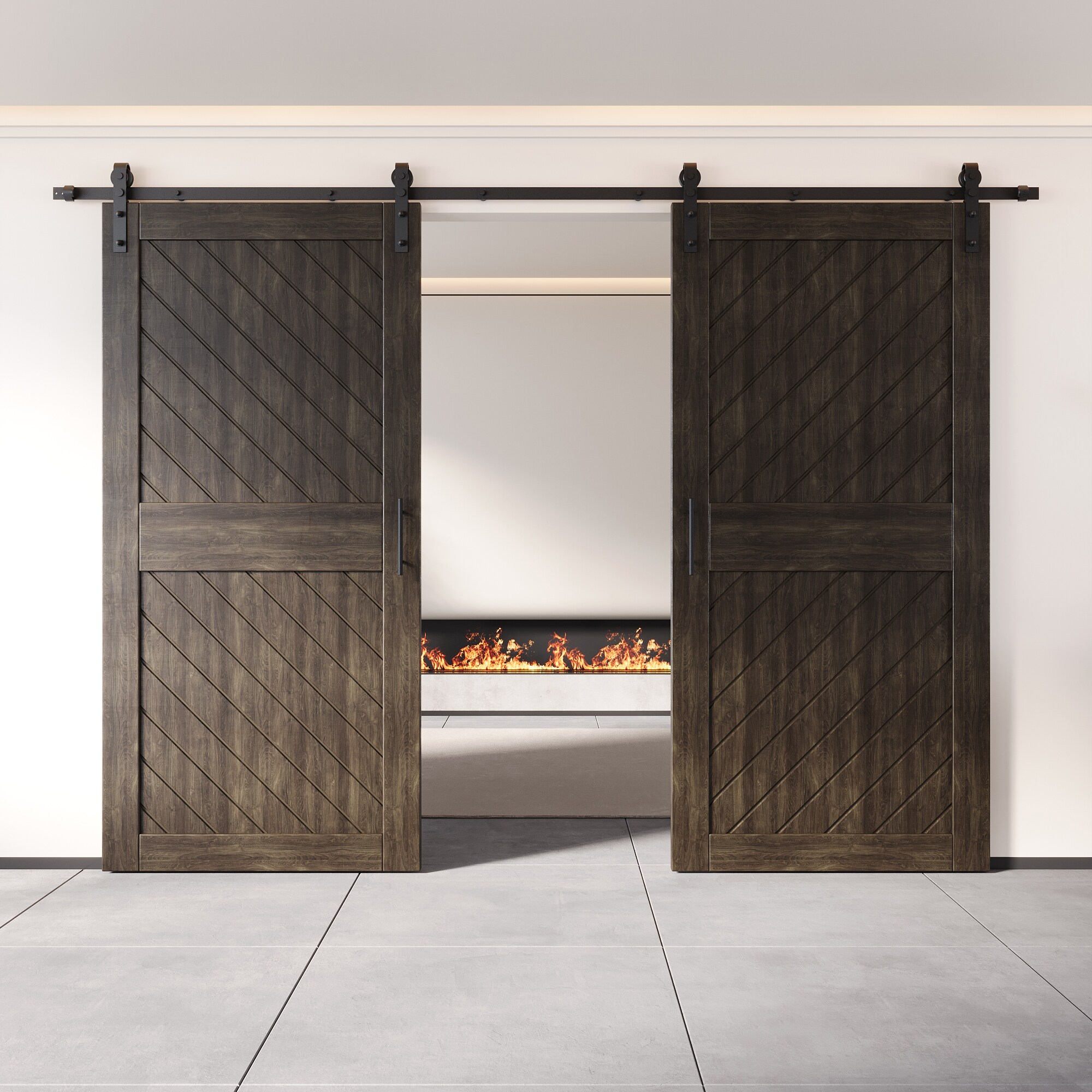 HOMACER YT2H168C-XT2-4084-EB Barn-Doors - View #8