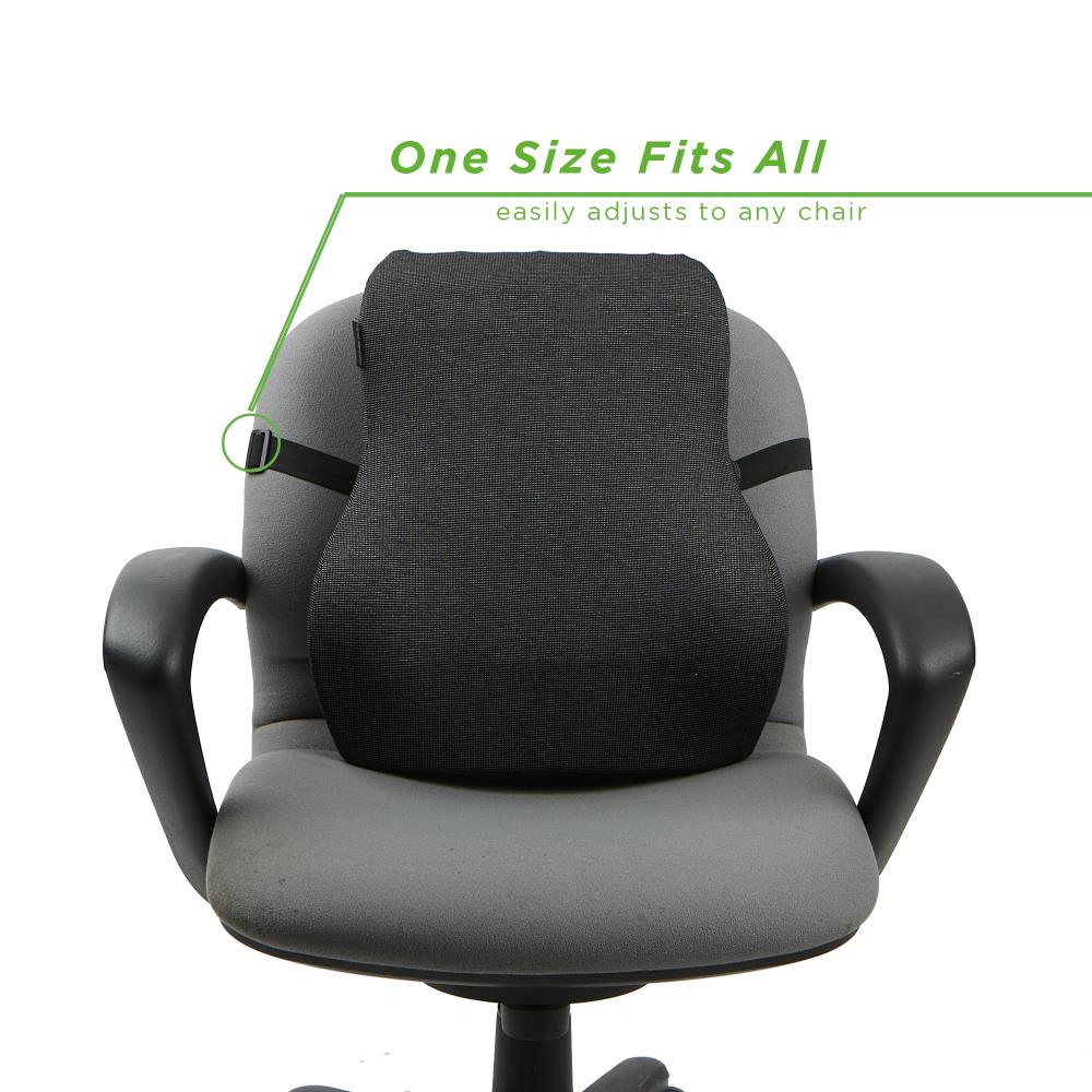 Ergonomic Back Support Chair, Lumbar Support for Back Posture Corrector and  Back Pain Relief, Portable and Perfect for Office Chair and Work Form Home  (Black) 