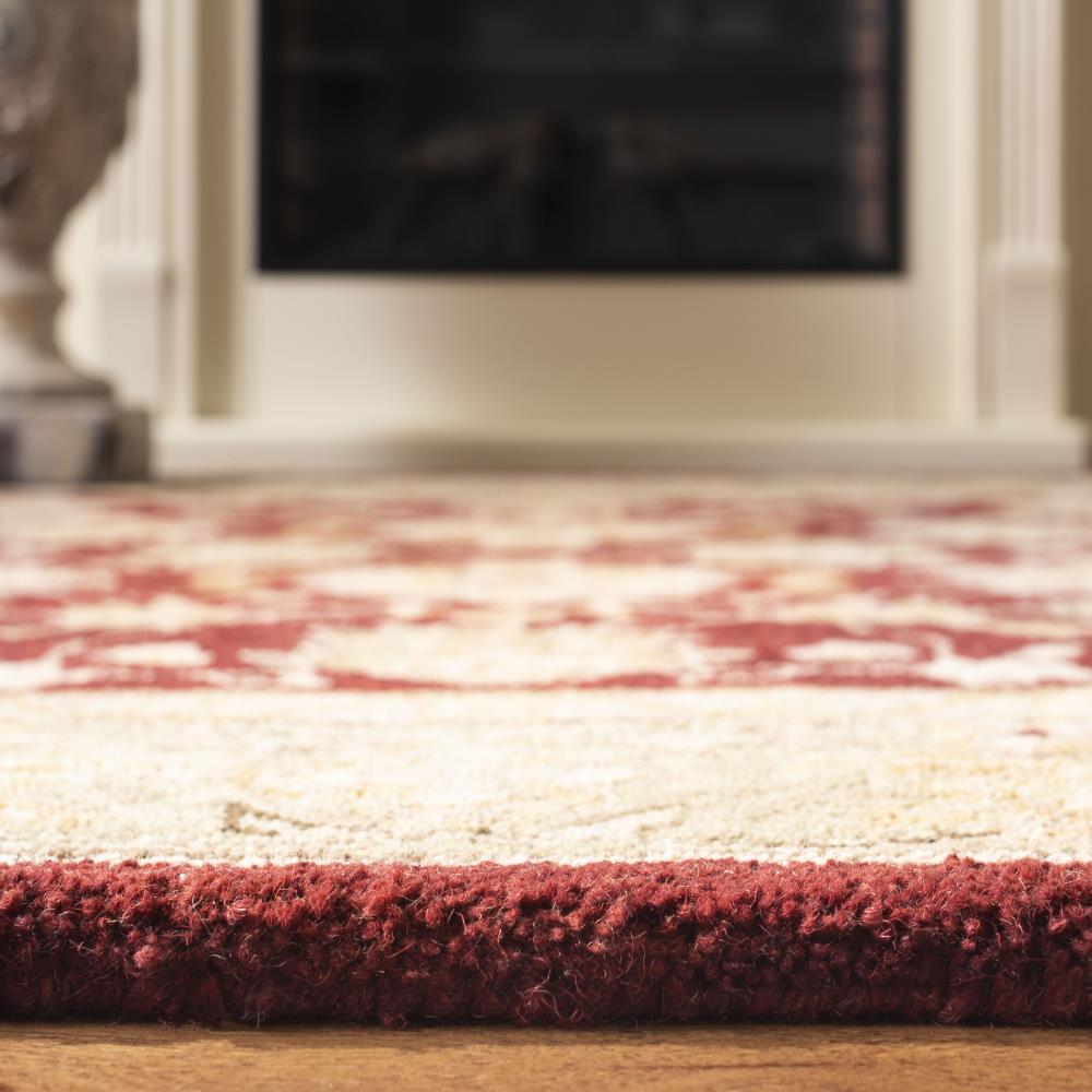 Safavieh AN522D-8R rugs - View #6