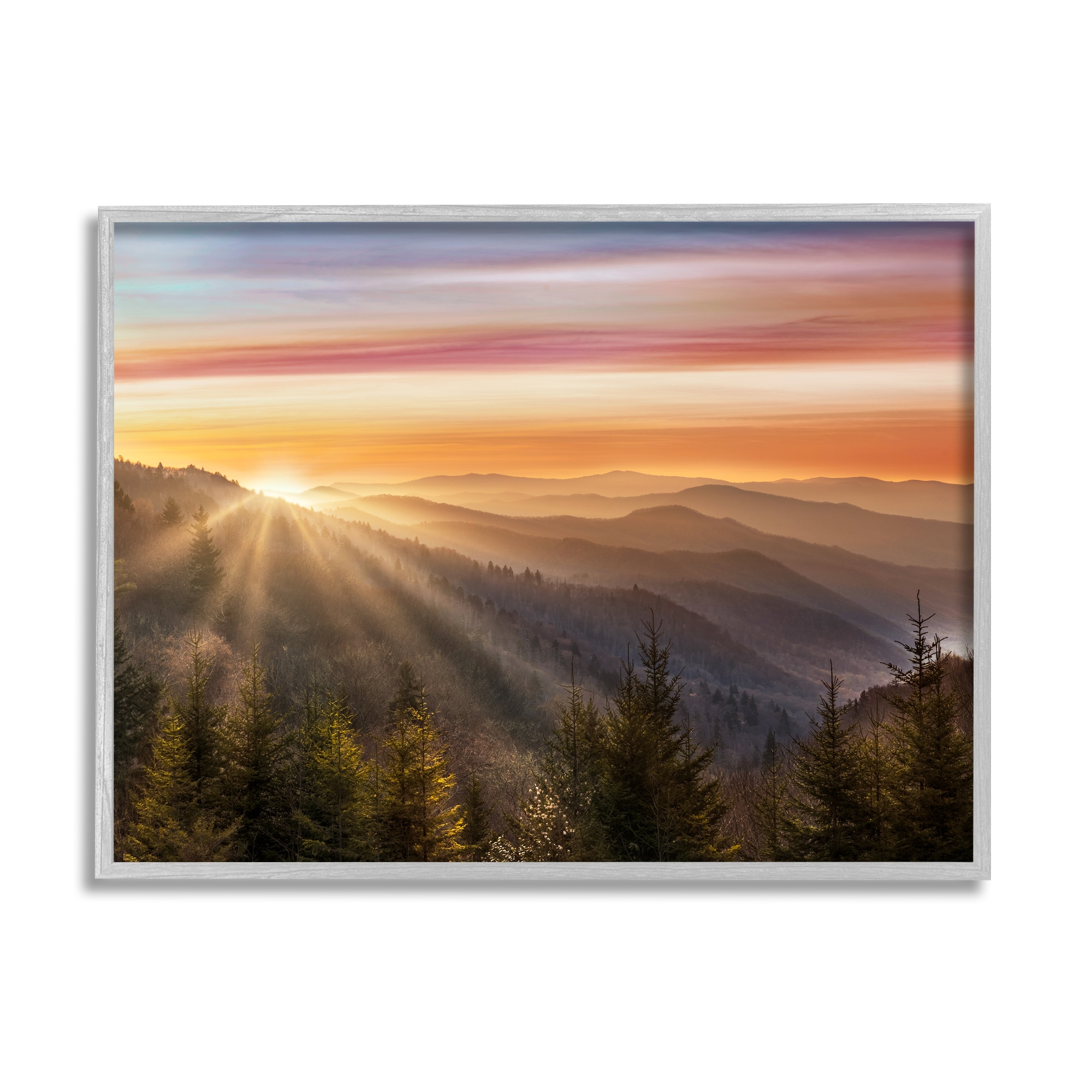 Stupell Industries Sunrise Through Mountain Forest Skyline Warm Sky Danita Delimont Gray Wood Framed 30-in H x 24-in W Landscape Print on Canvas -  AI-443-GFF-24X30