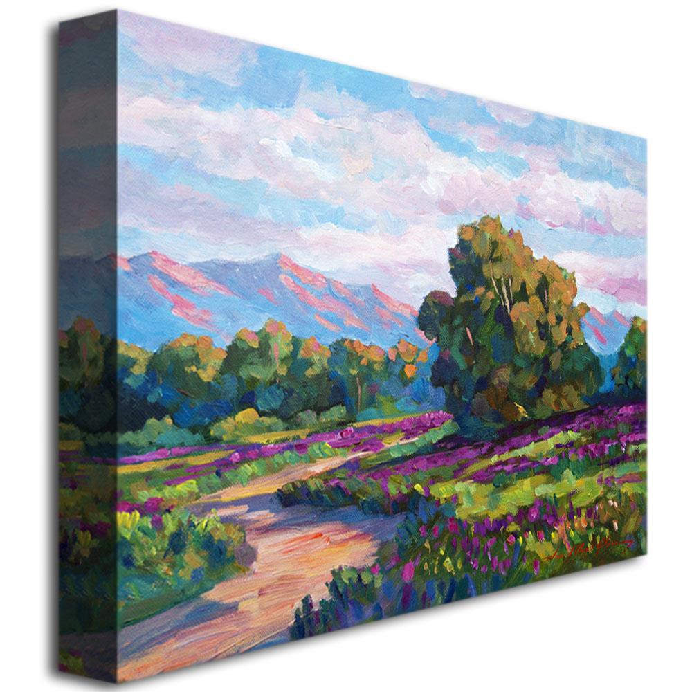 Trademark Fine Art Landscapes Framed 18-in H x 24-in W Landscape Print ...