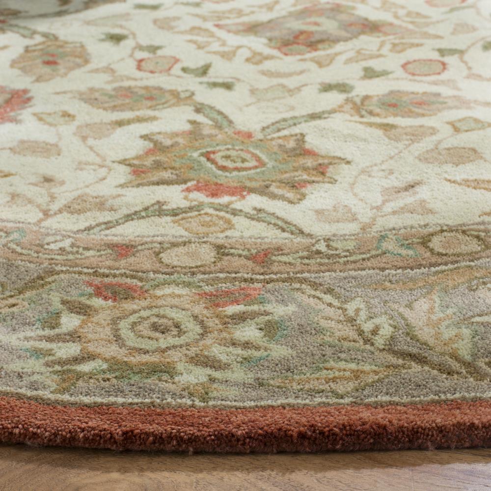 Safavieh AN512E-6R rugs - View #3