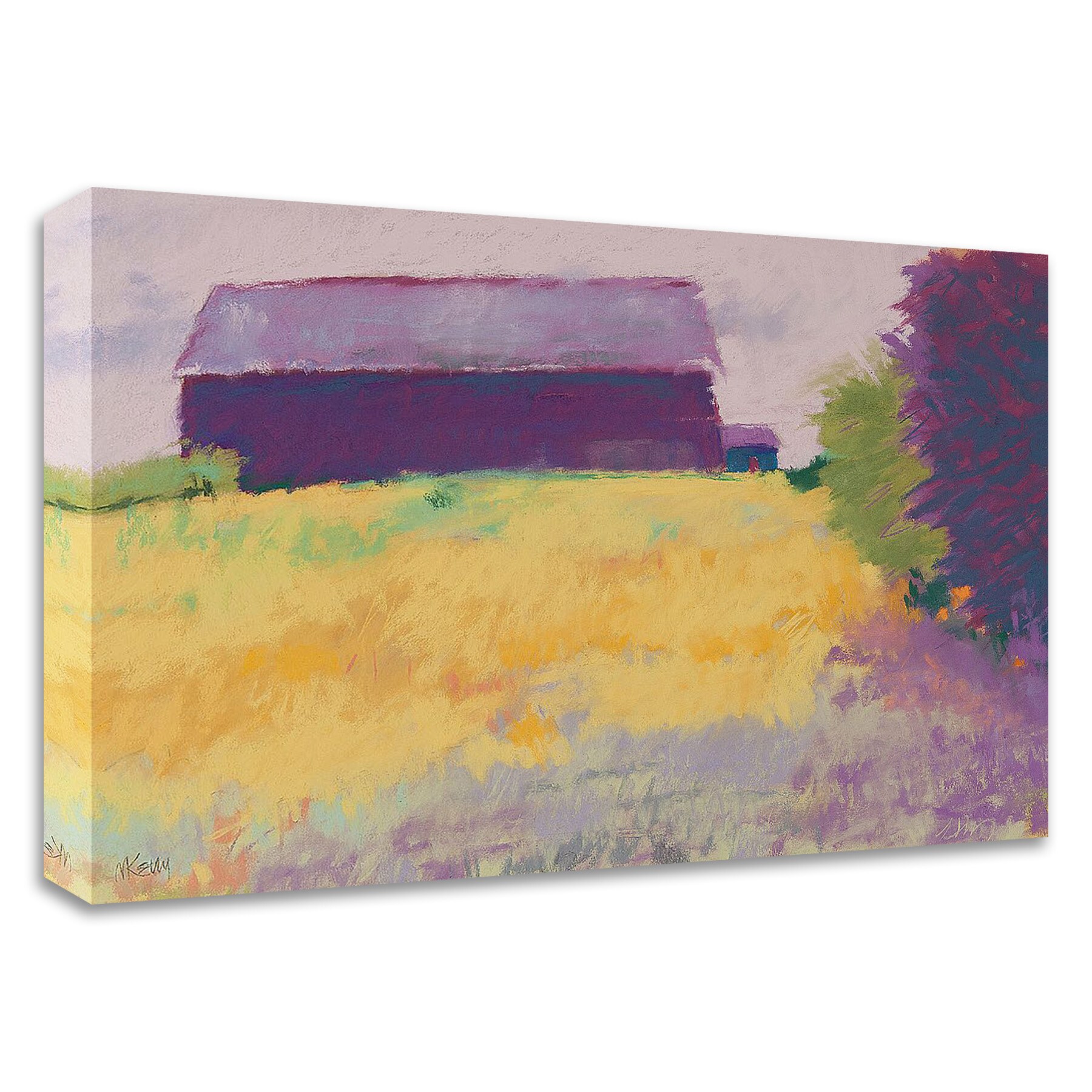 Tangletown Fine Art 8K2585DC-2718 Wheat Field Mike Kelly 18-in H x 27-in W Landscape Print on Canvas