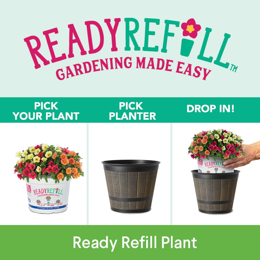 Style Selections RT2154H Planter-Window-Box - View #4