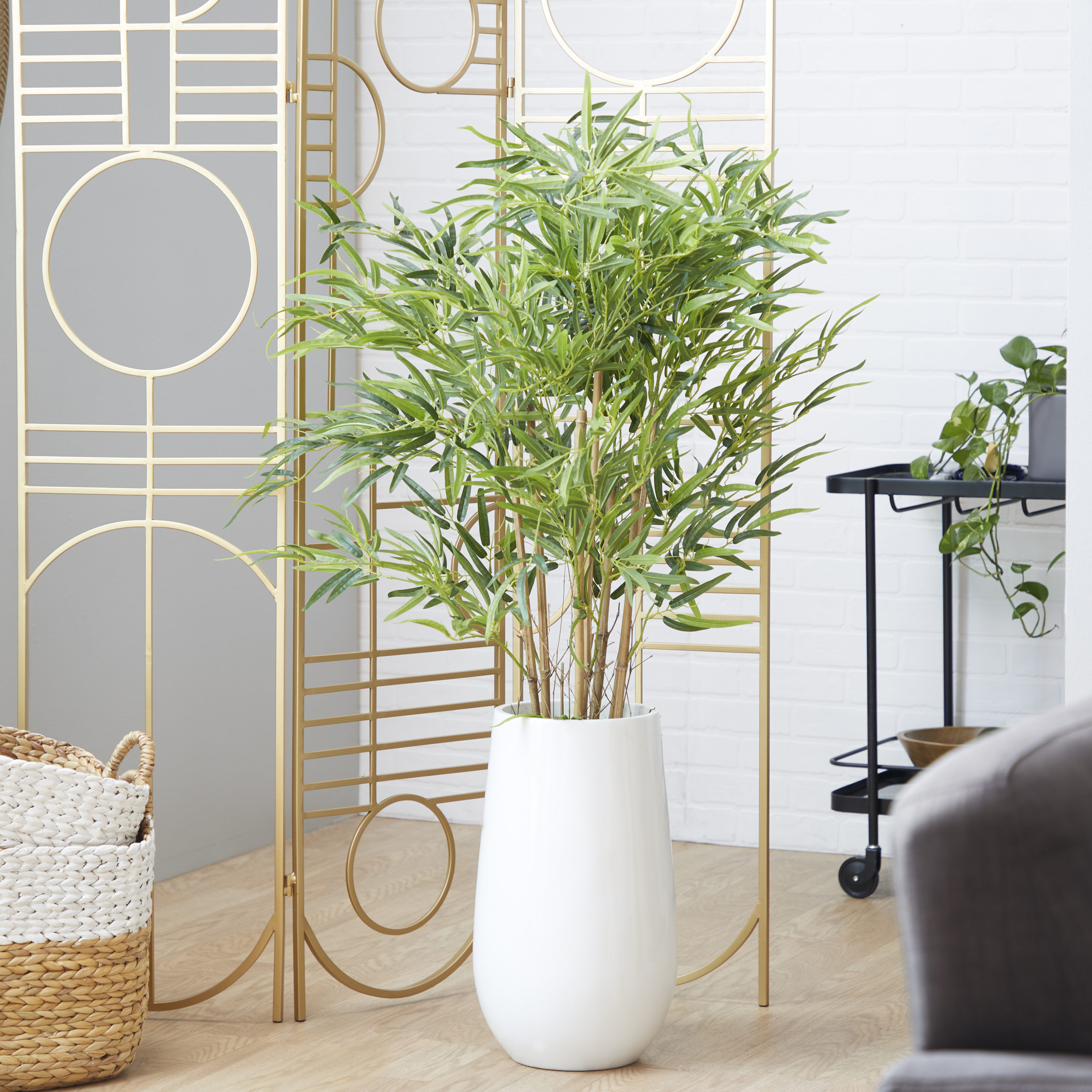 DRACAENA Plant, Lucky bamboo/spiral, 18 - IKEA