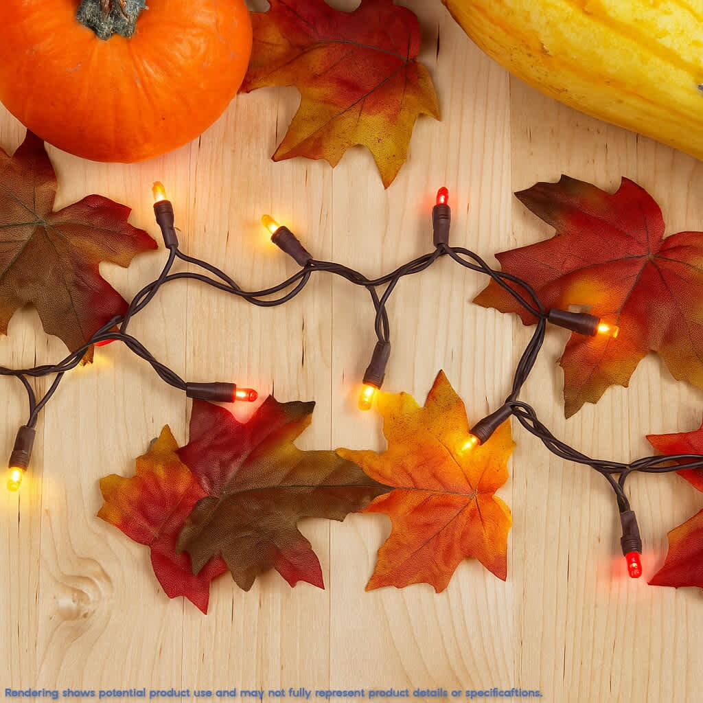 Novelty Lights CGWA10/NS-BR-Y/RE/OR Patio-String-Lights - View #3