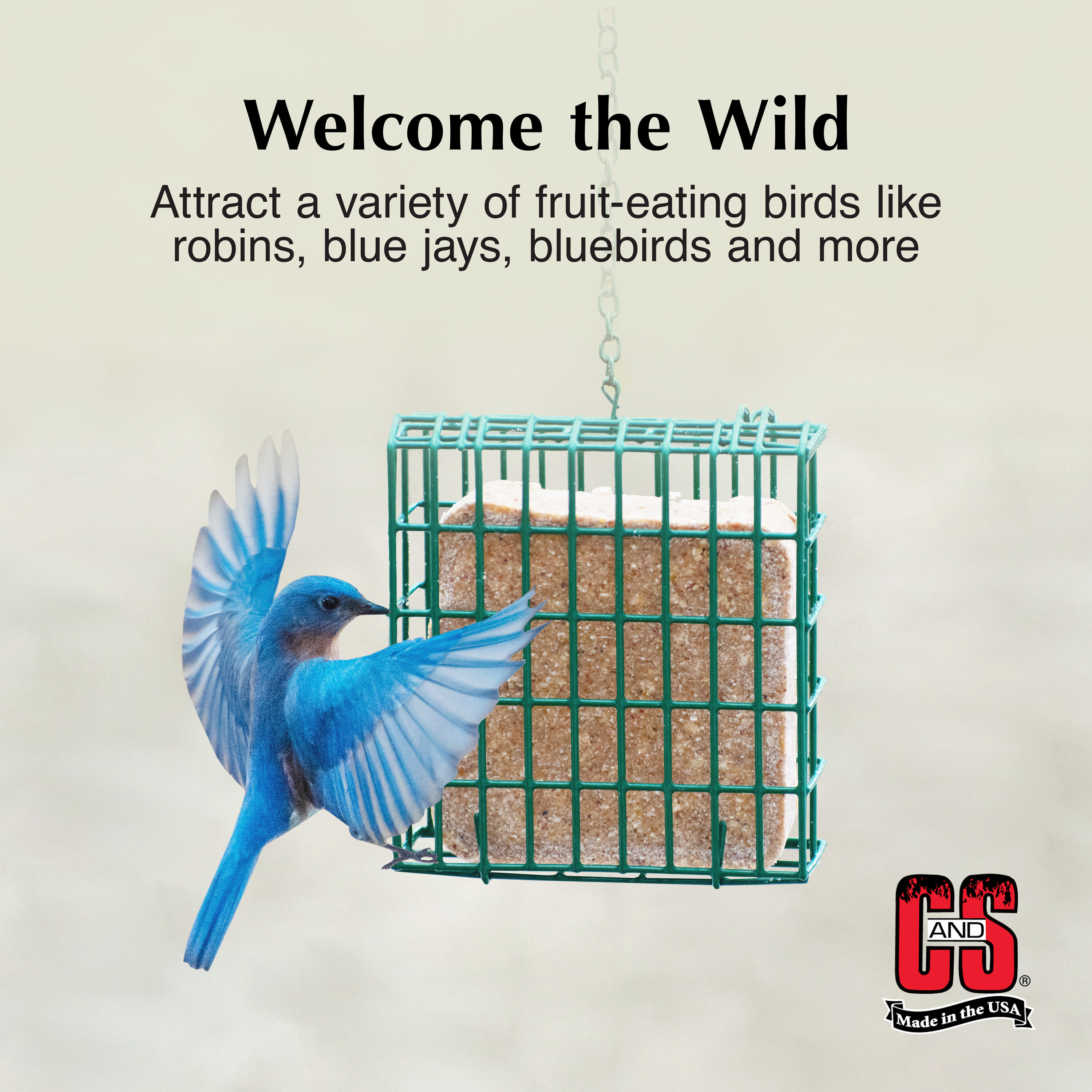 C&S 100214314 Bird-Squirrel-Food - View #4