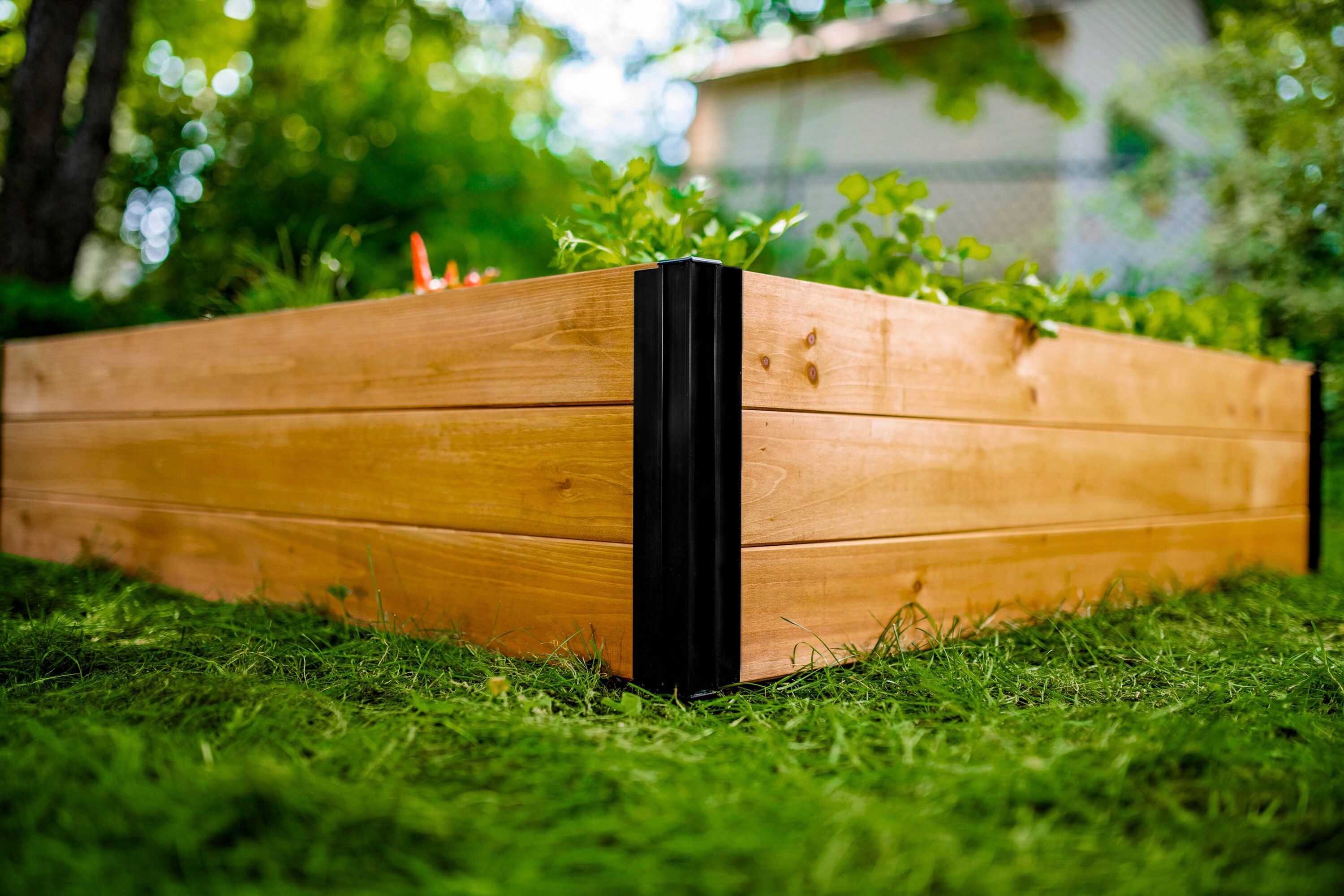Vita VT17703 Raised-Garden-Beds - View #3