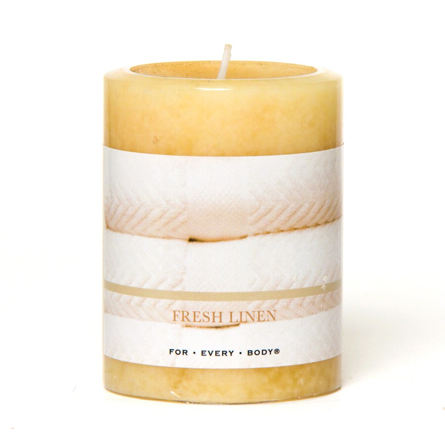 For Every Body 14-oz Ivory Wax Pillar Candle in the Candles department ...