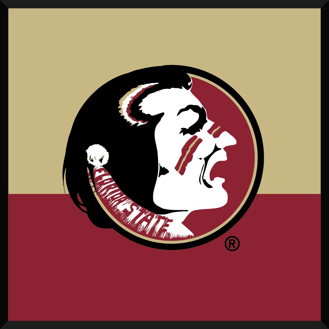 Florida State Seminoles Wall Art & Decor at Lowes.com