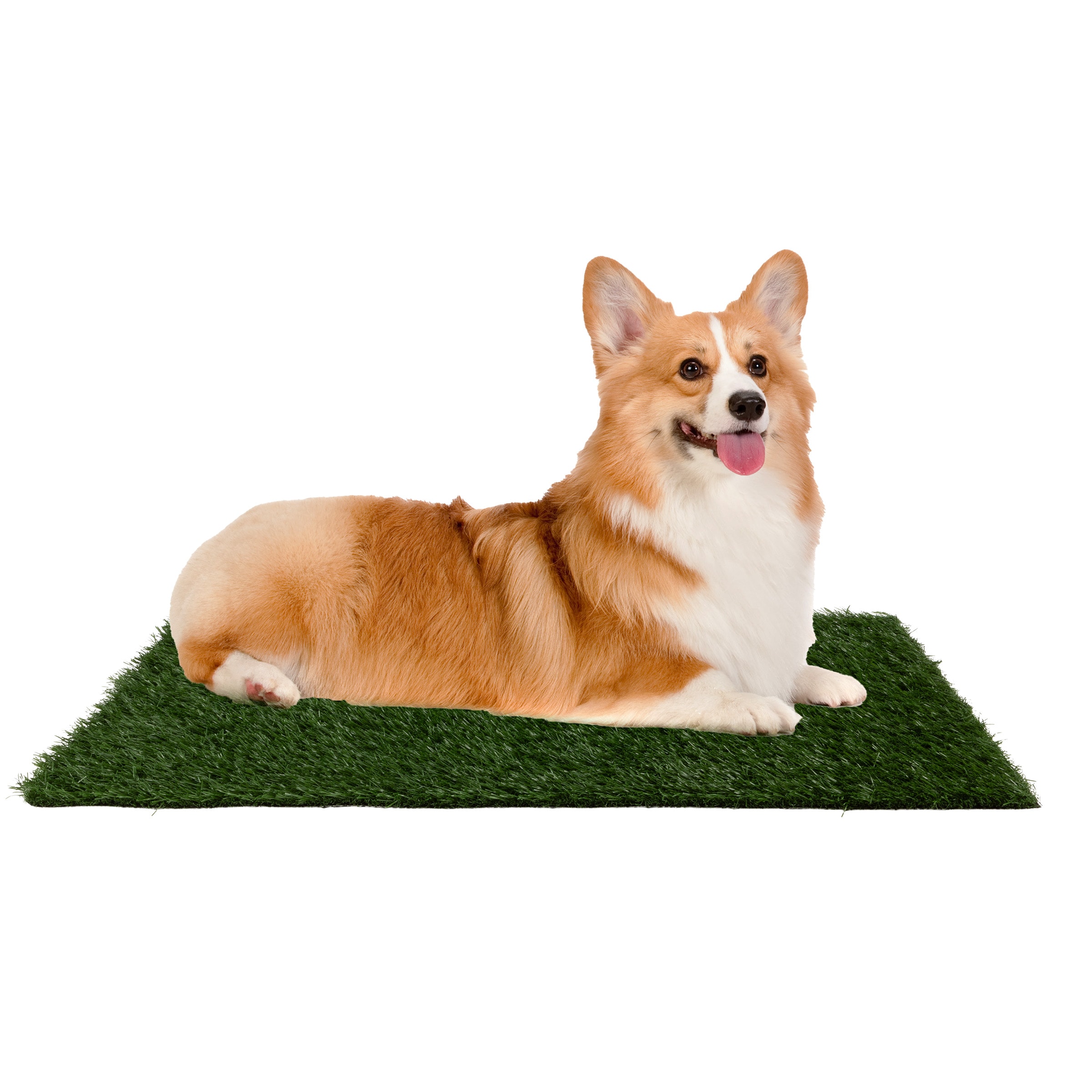 PETMAKER 373787SHA 3 -Pack 23-Inches x 18-Inches Reusable Synthetic plastic Artificial grass mat