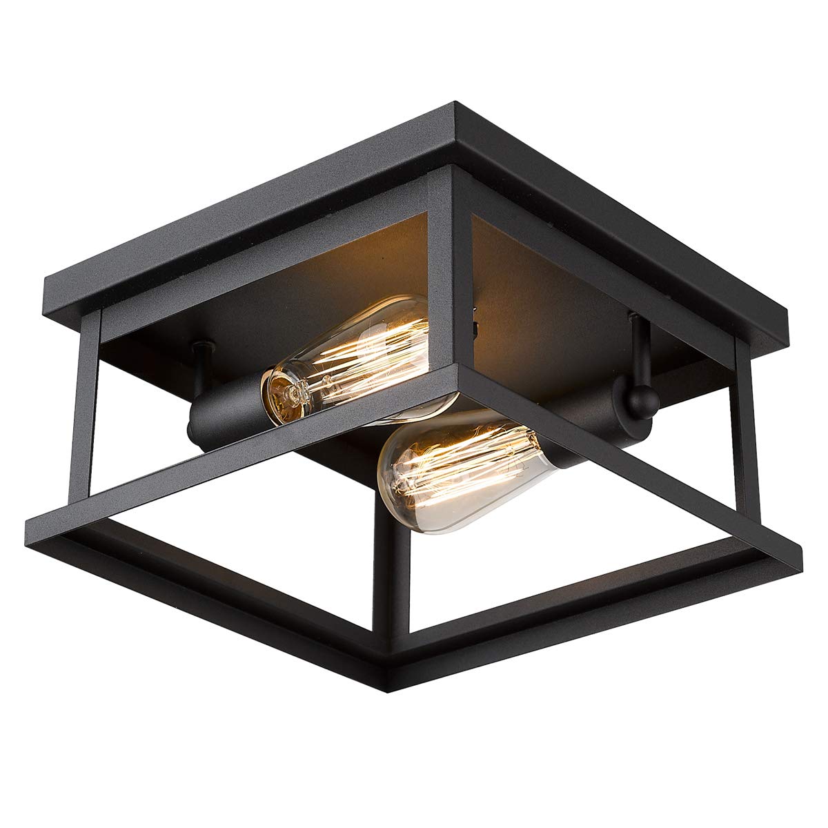 LTMATE LS1803EW1-F1 BKDM 2 -Light 11-in Polished Black Flush Mount Light