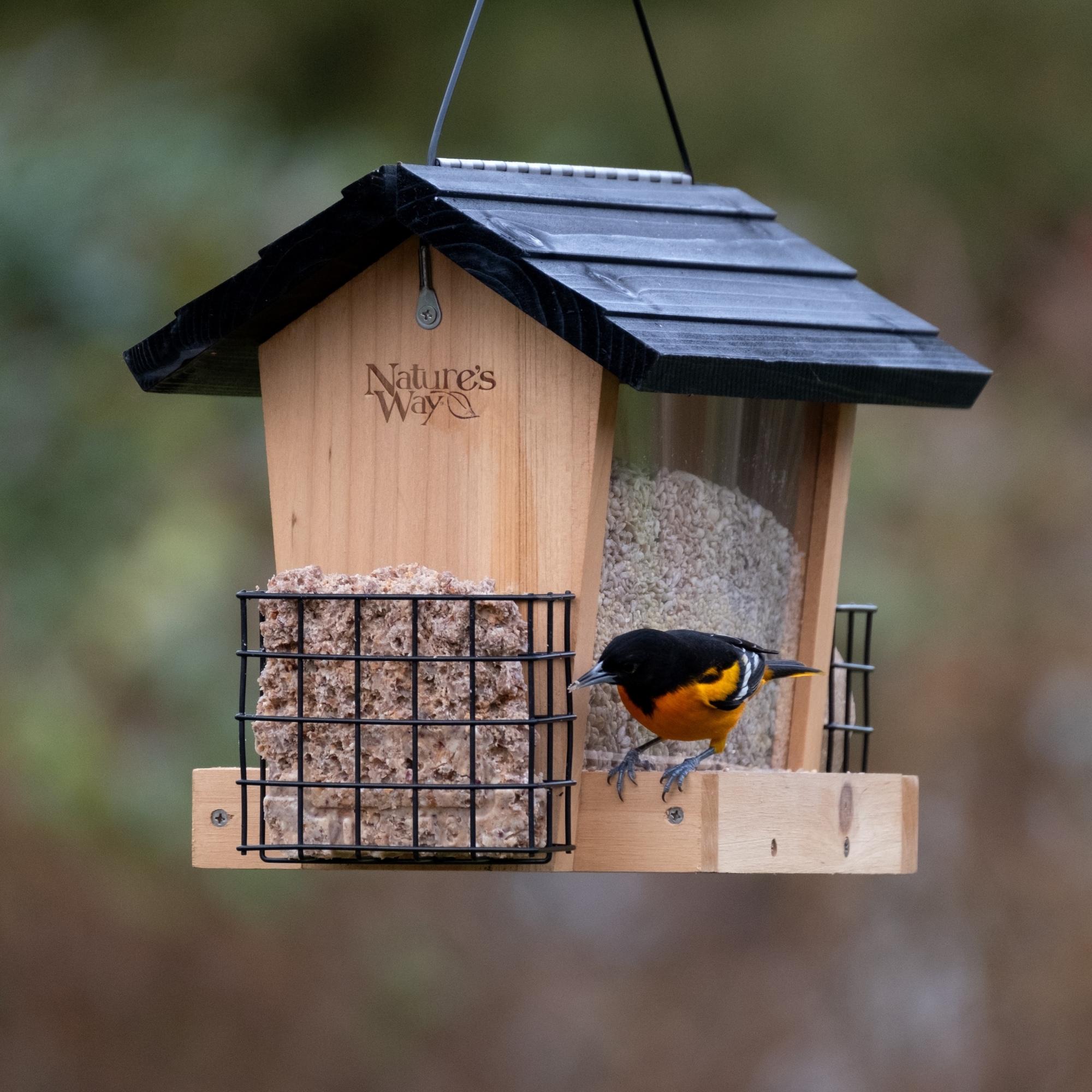 Nature's Way CWF19-CP1 Bird-Feeders - View #3