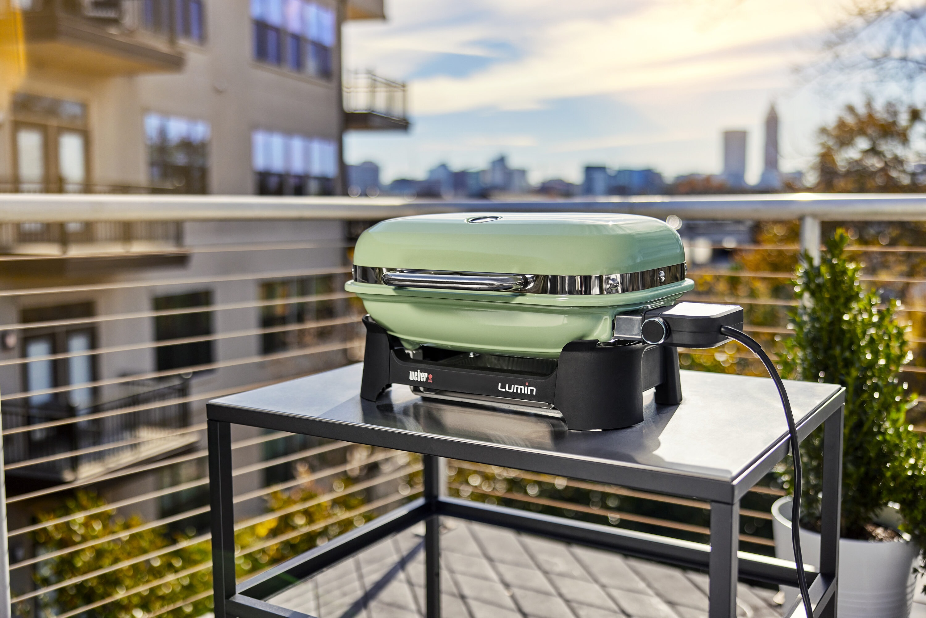 Weber 91070901 m040270 - View #2