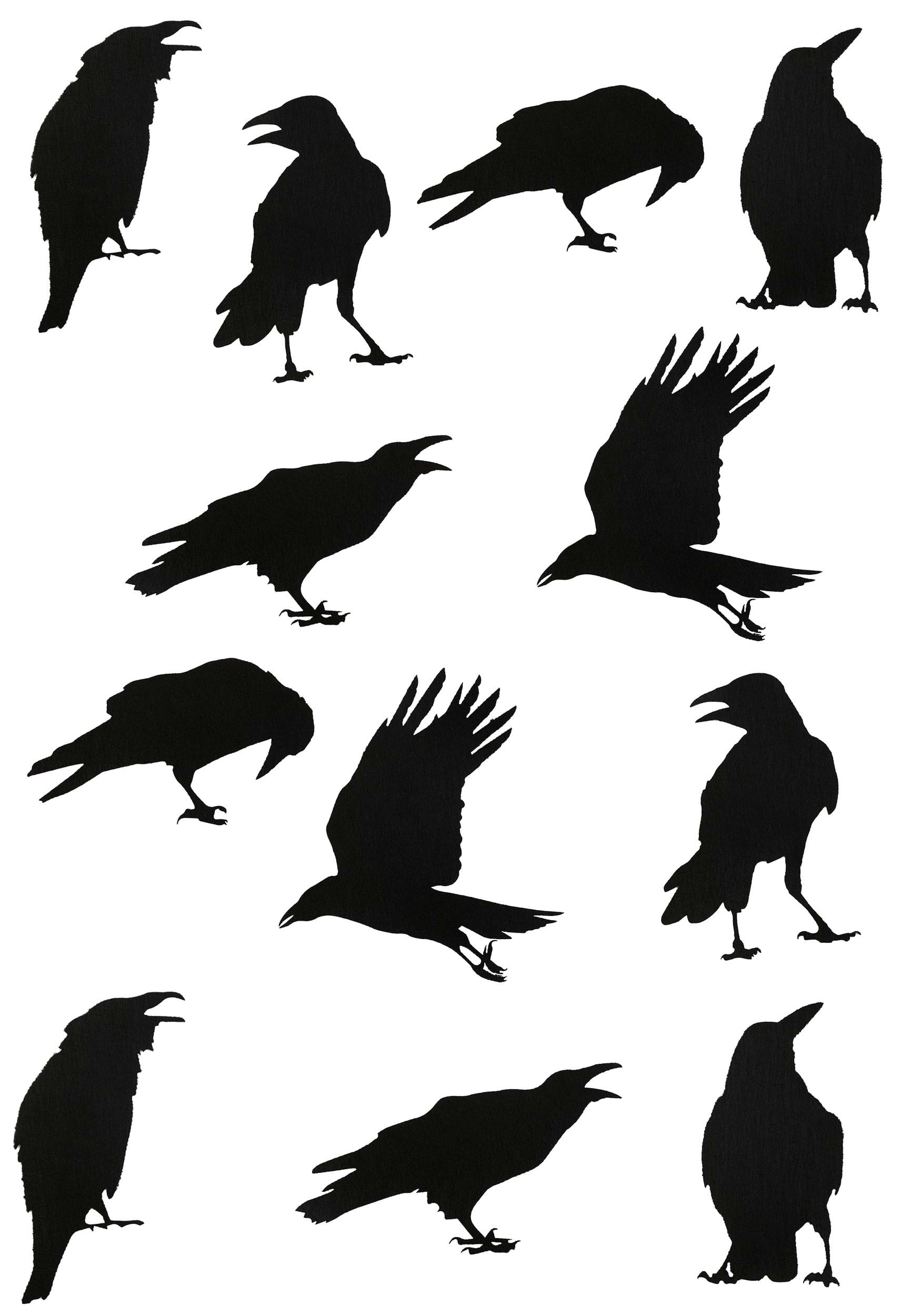 HalloweenCostumes.com FUN4335-ST FUN Costumes Set of 12 Black Crow Stickers Decoration Wall Decorations Standard