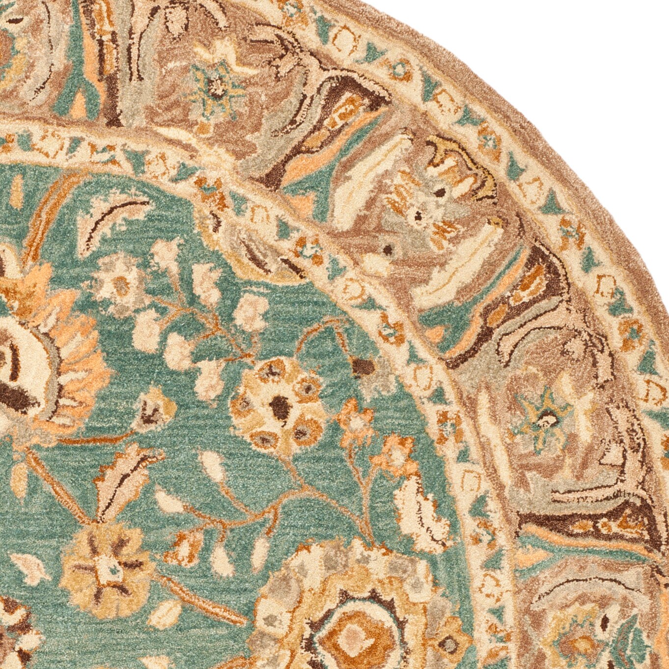Safavieh AN558D-6R rugs - View #5