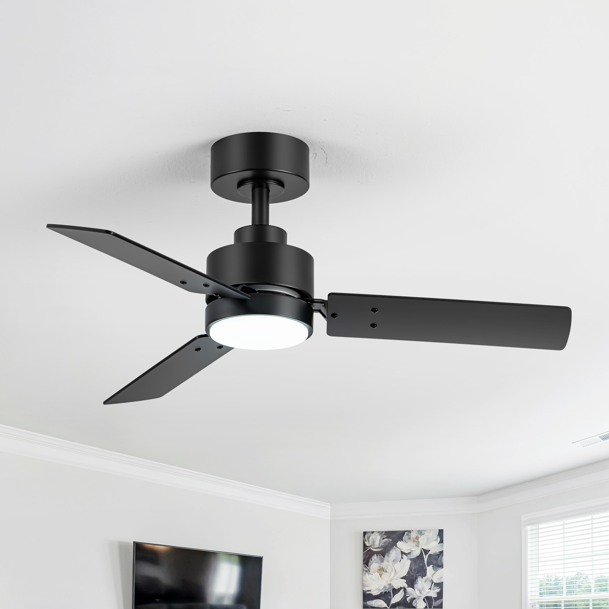 Breezary 30041-BK Ceiling-Fans - View #4