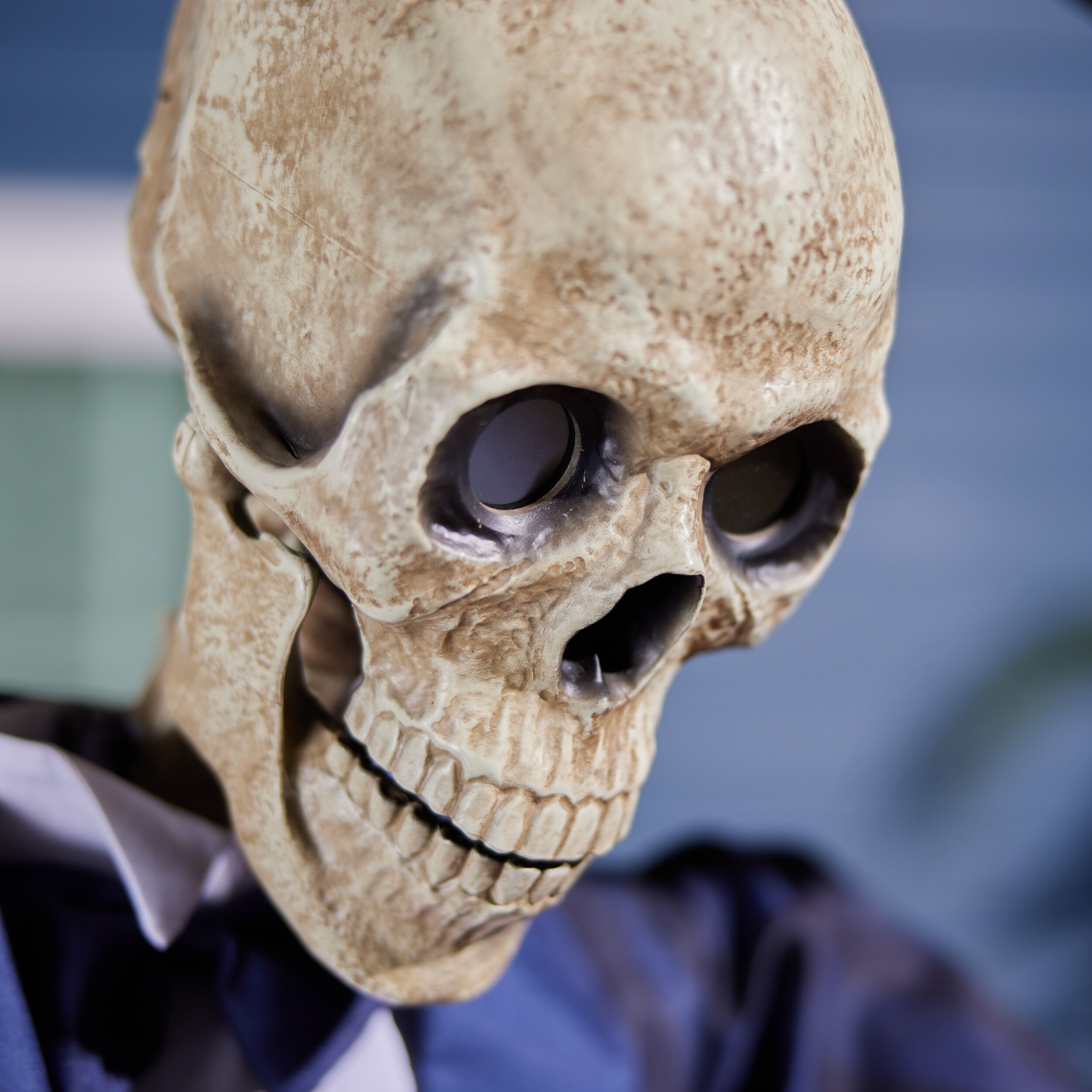 Haunted Living 5124926 Outdoor-Halloween-Decor - View #4