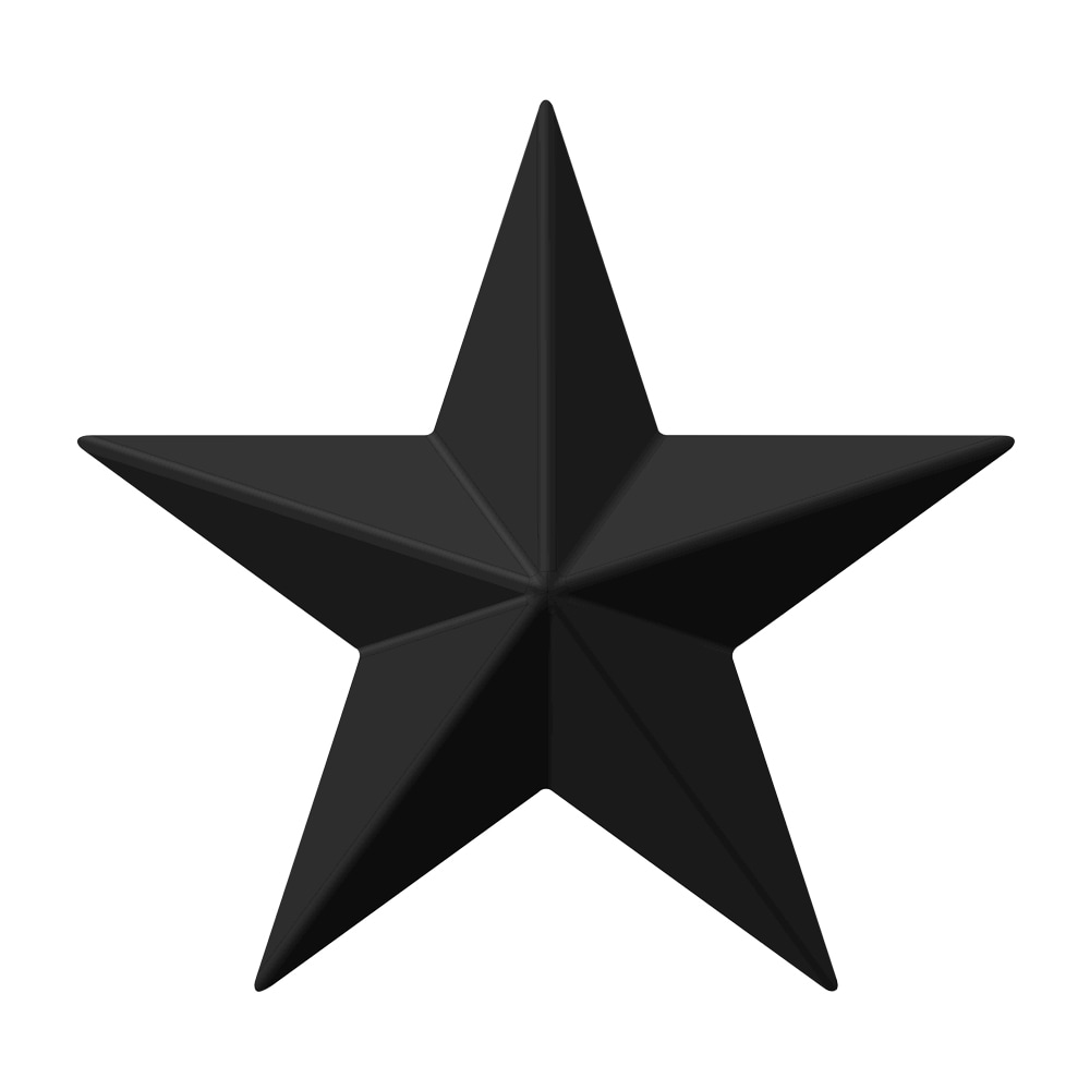 RELIABILT Texas star 5-in Black Number Letter in the House Letters ...